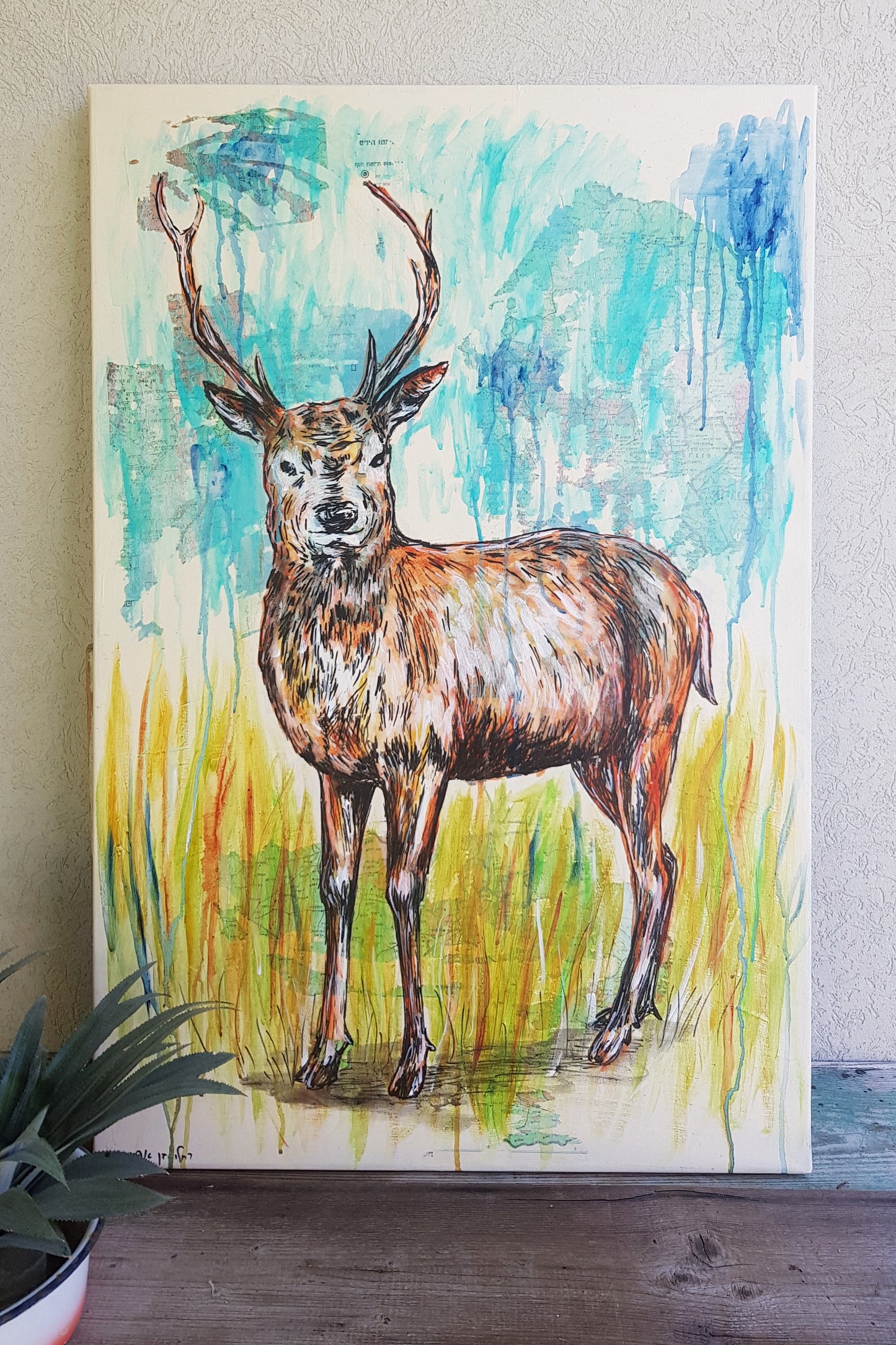 תמונה על קנבס אייל