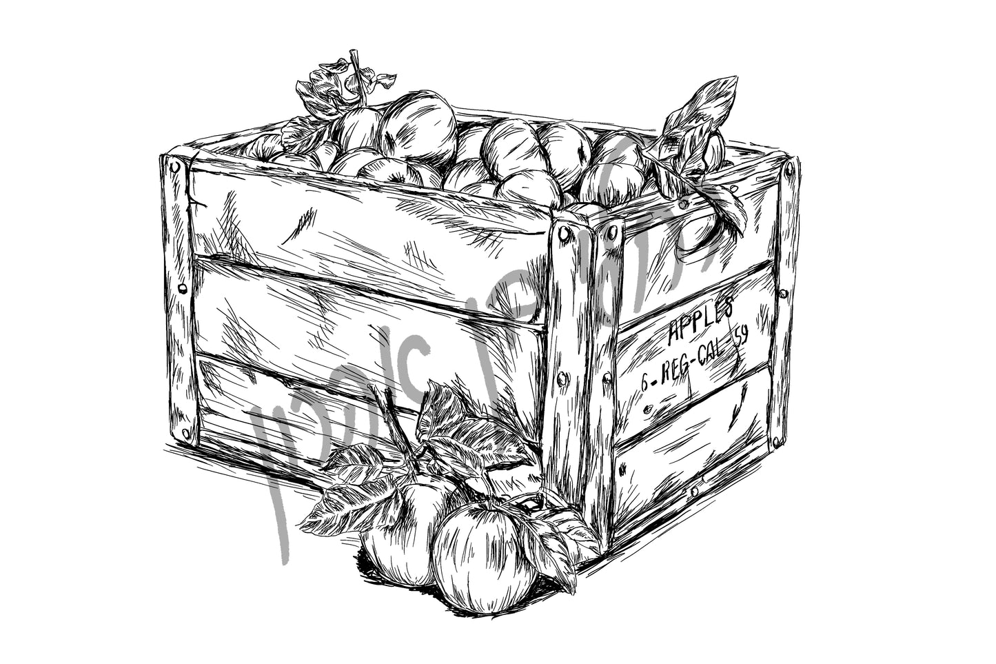 ארגז תפוחים תמונה להדפסה ומיסגור