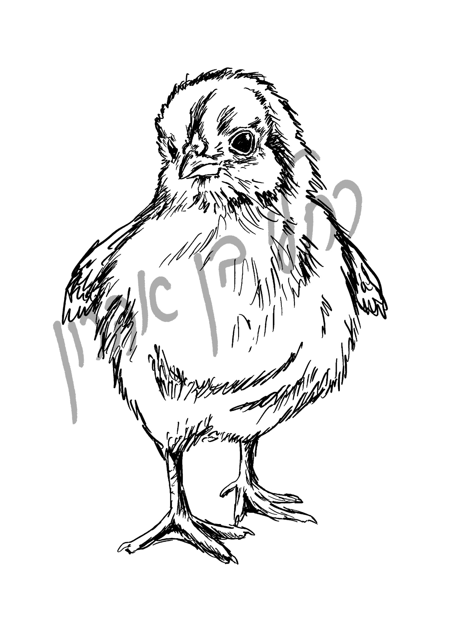 אפרוח חמוד להדפסה