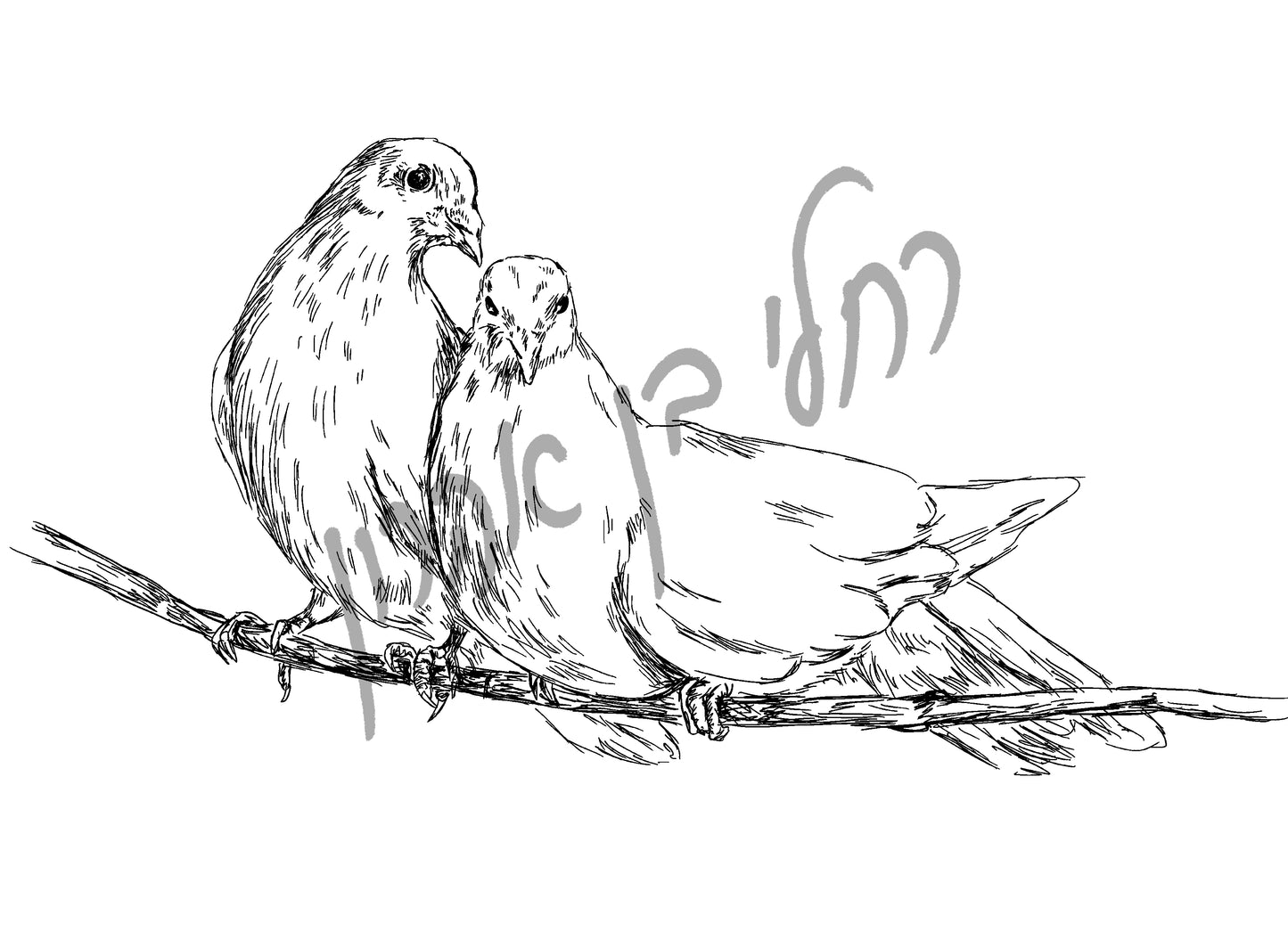 תמונה להדפסה זוג יונים