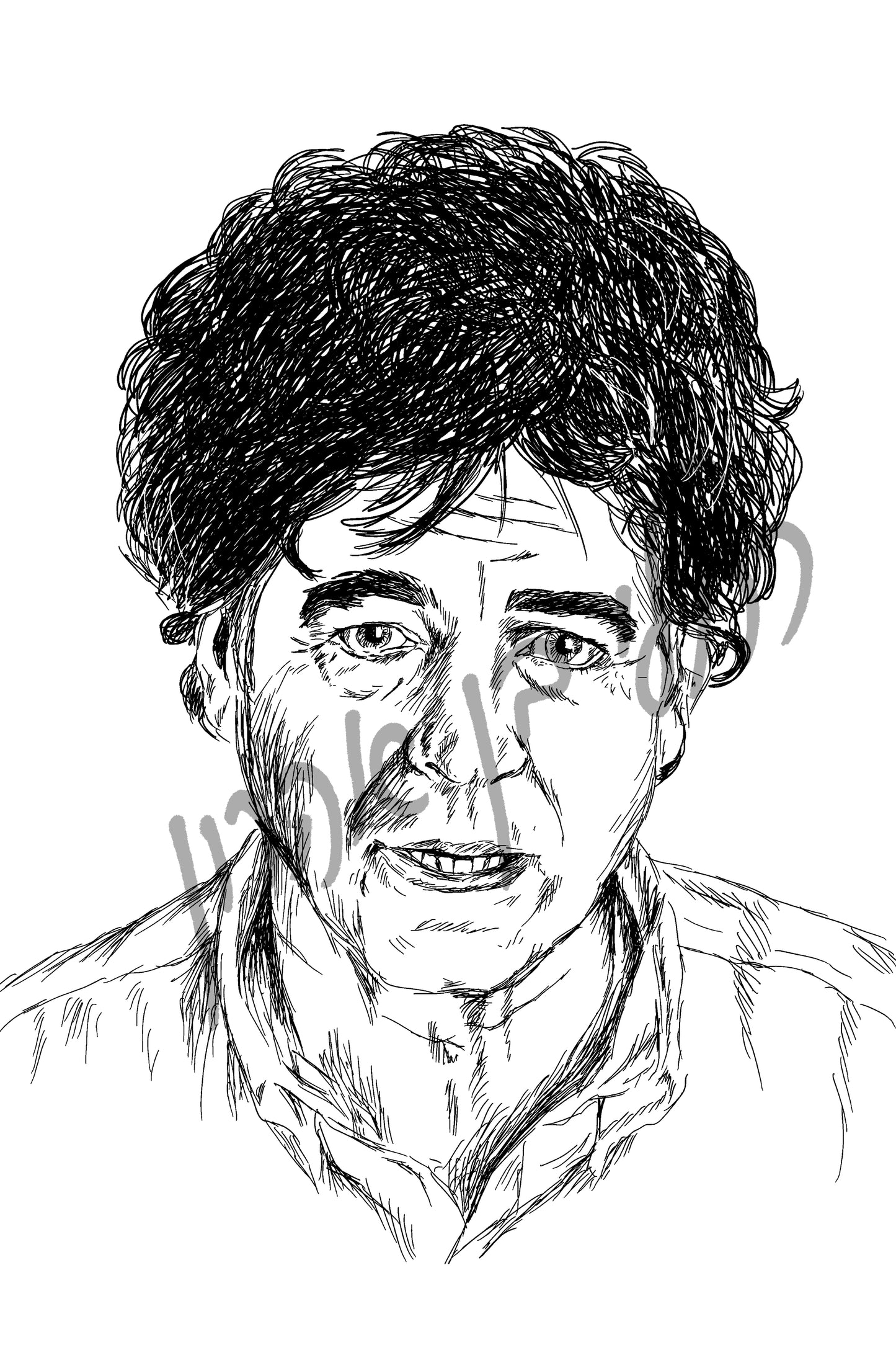 תמונה להדפסה ומיסגור מאיר אריאל