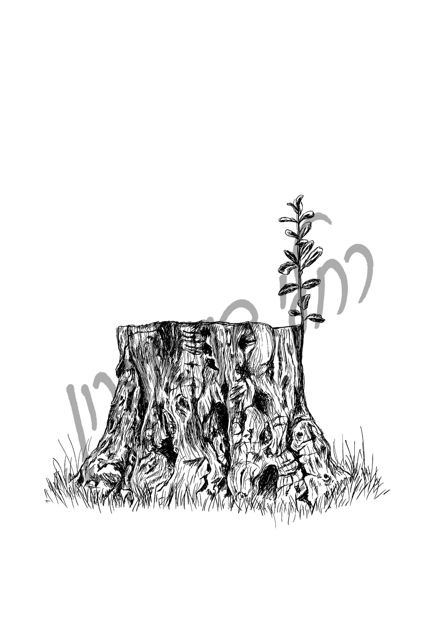 תמונה להדפסה עץ כרות