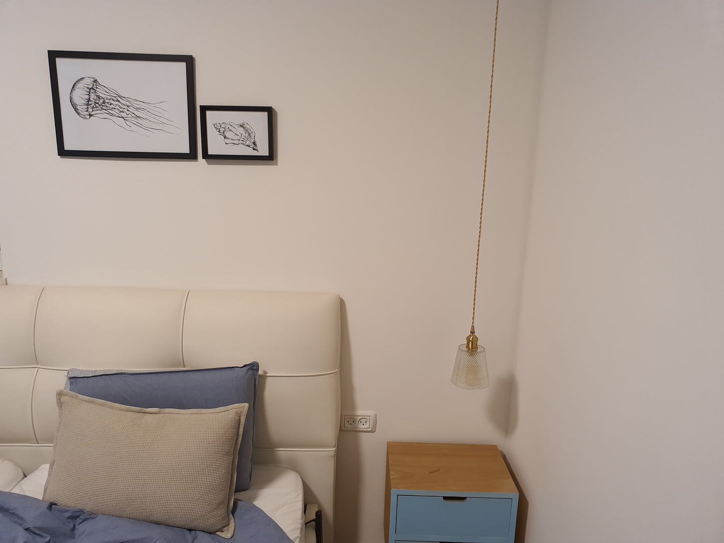 תמונה להדפסה ומיסגור מדוזה - rachelsfinelines