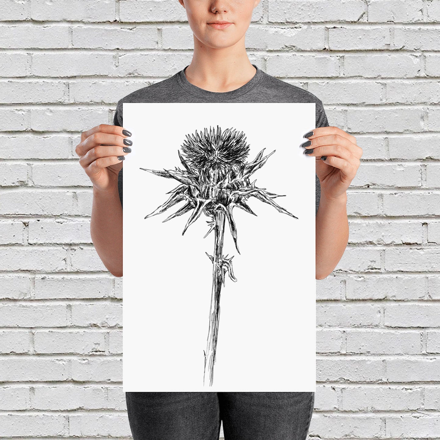 תמונה בוטנית להדפסה פרח גדילן מצוי - rachelsfinelines