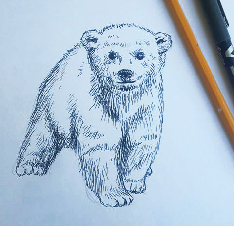 תמונה להדפסה דובי