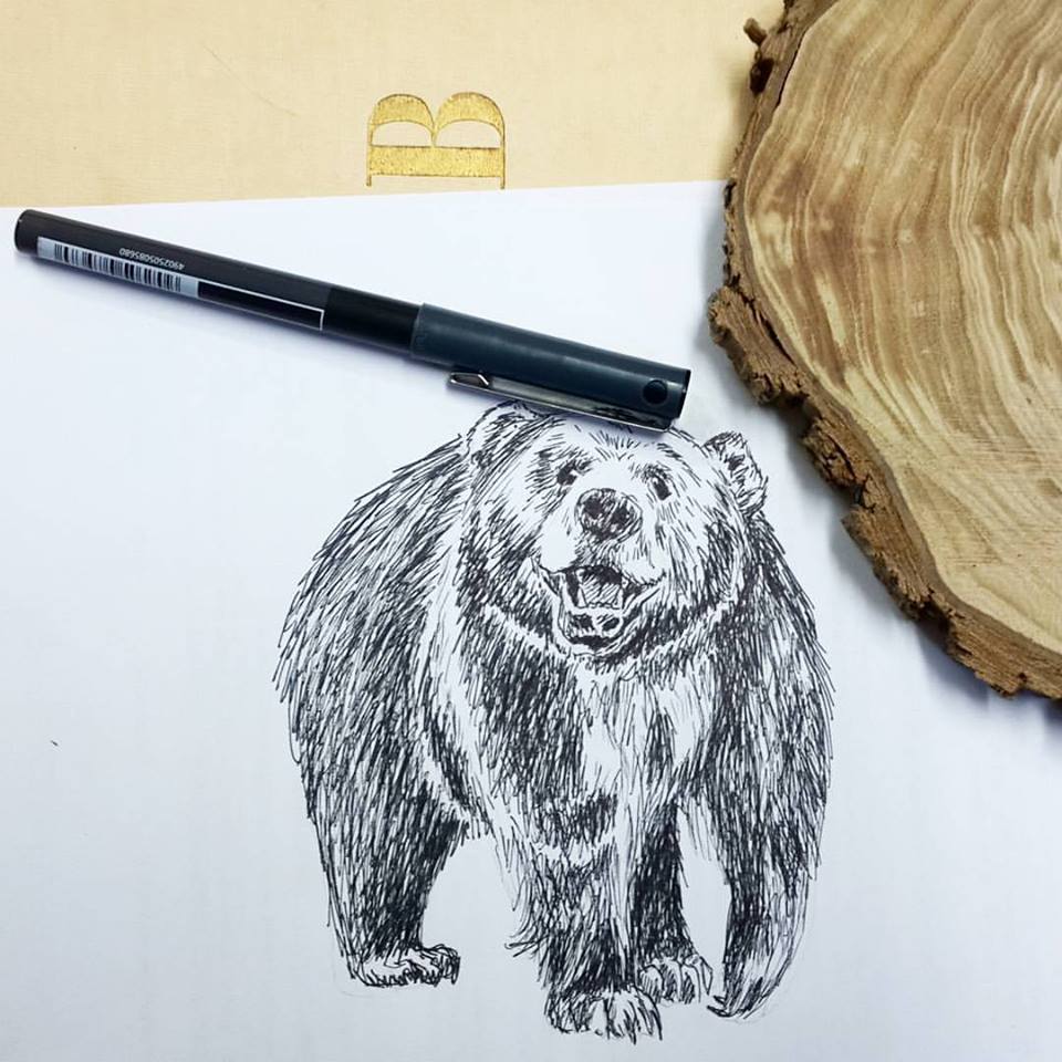 תמונה להדפסה איור דב - rachelsfinelines