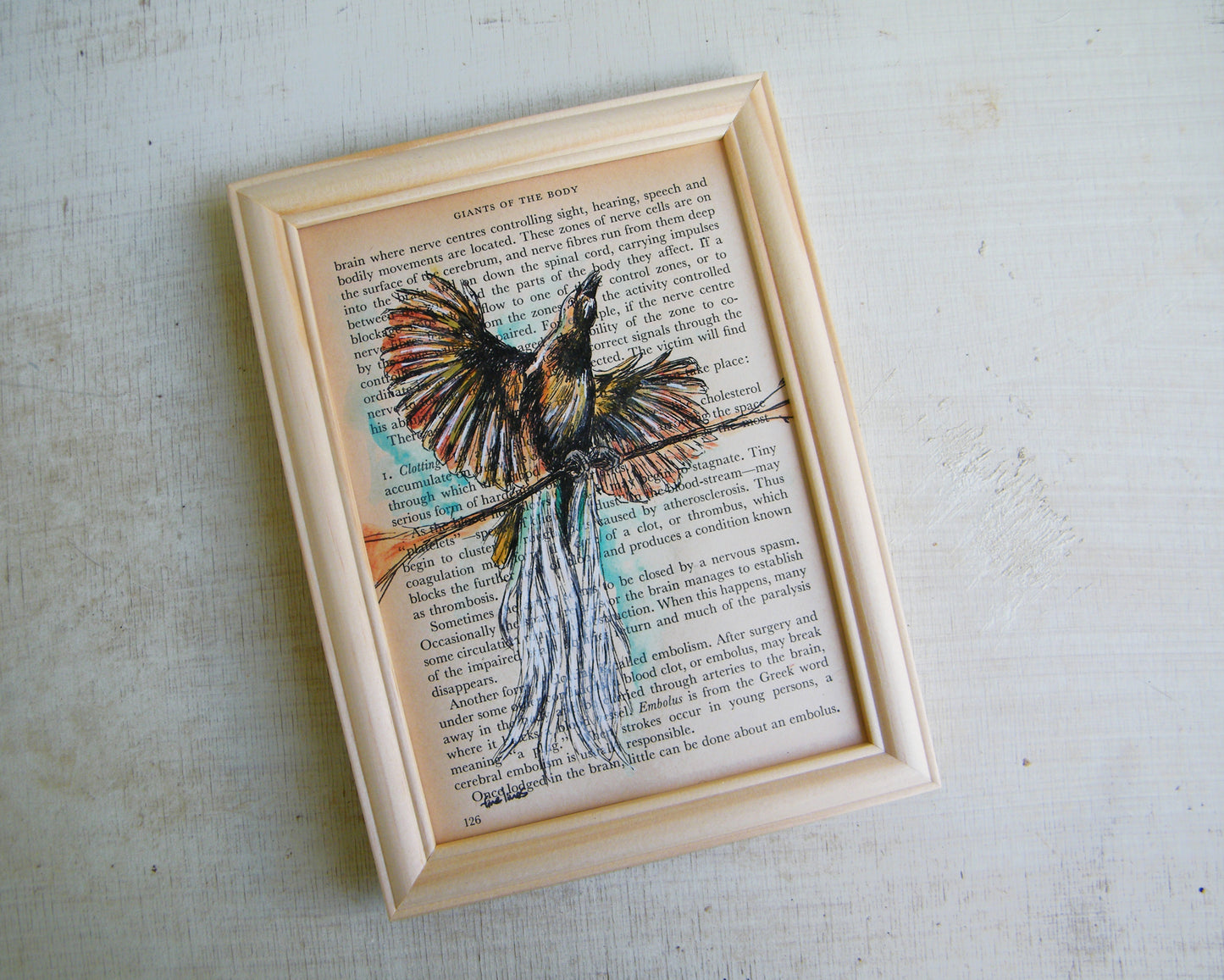 הדפס ציפור גן עדן על נייר מספר ישן