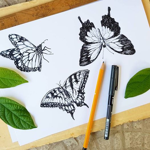 תמונה להדפסה פרפרים - rachelsfinelines