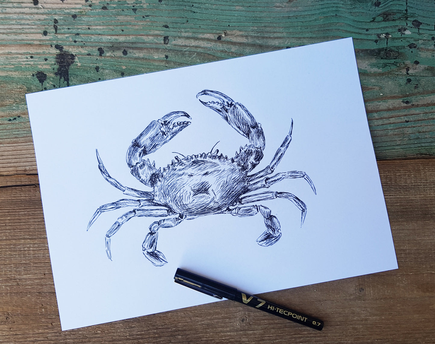 תמונה להדפסה ומיסגור איור סרטן - rachelsfinelines