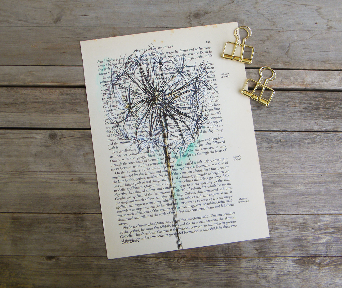 הדפס ממוסגר פרח סביון - rachelsfinelines