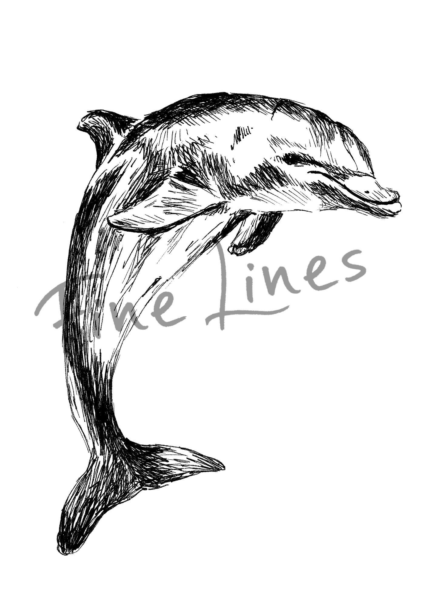 תמונה להדפסה ומיסגור דולפין - rachelsfinelines