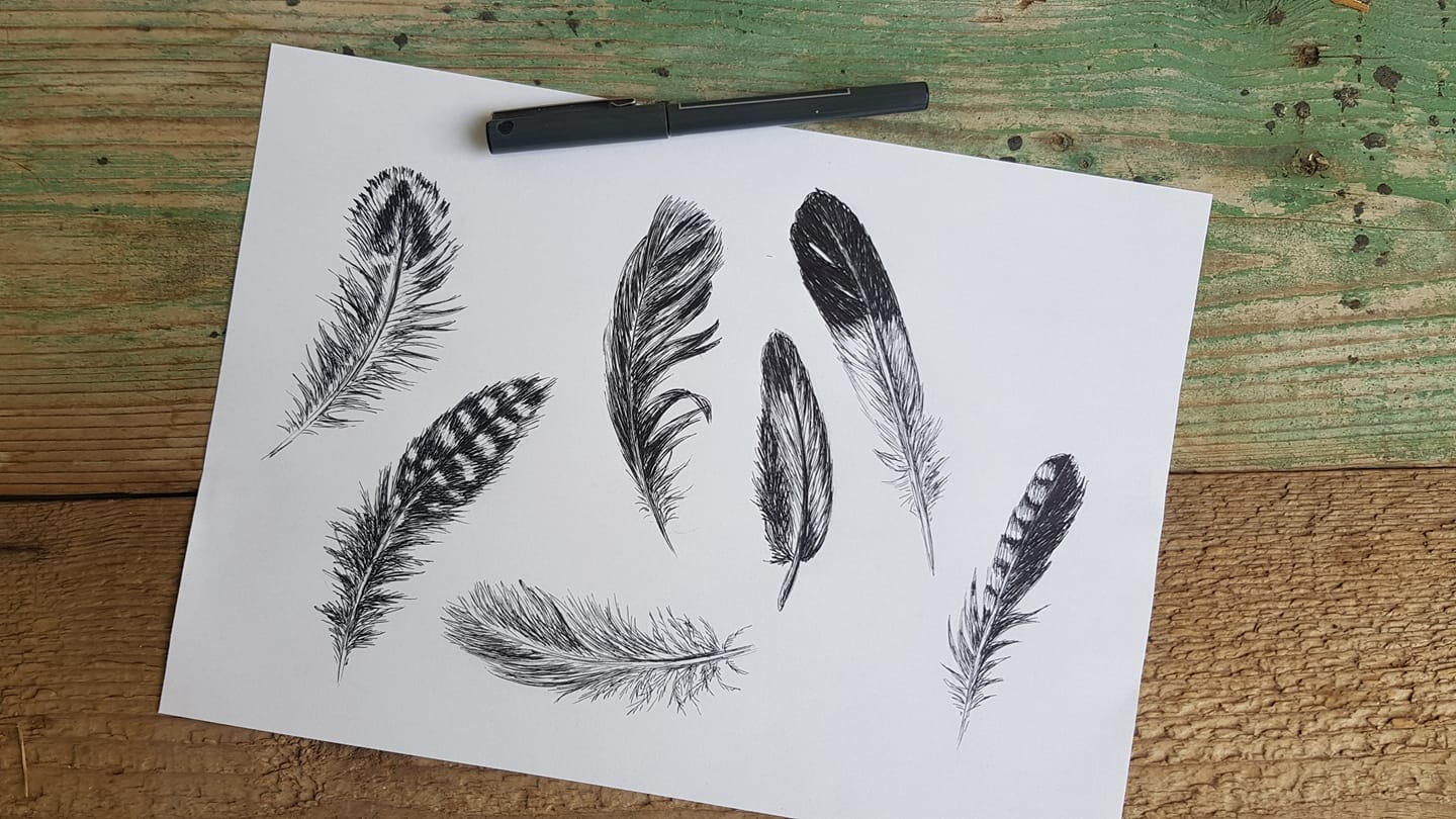 שלט לדלת מסגרת נוצות