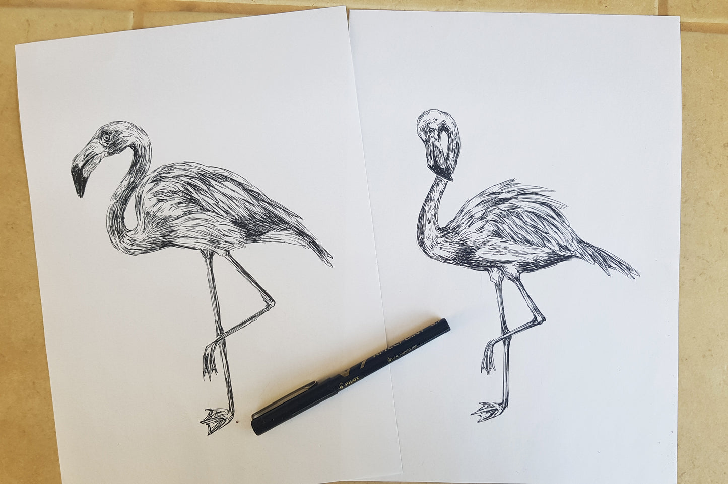 תמונה להדפסה ומיסגור זוג פלמינגוס - rachelsfinelines