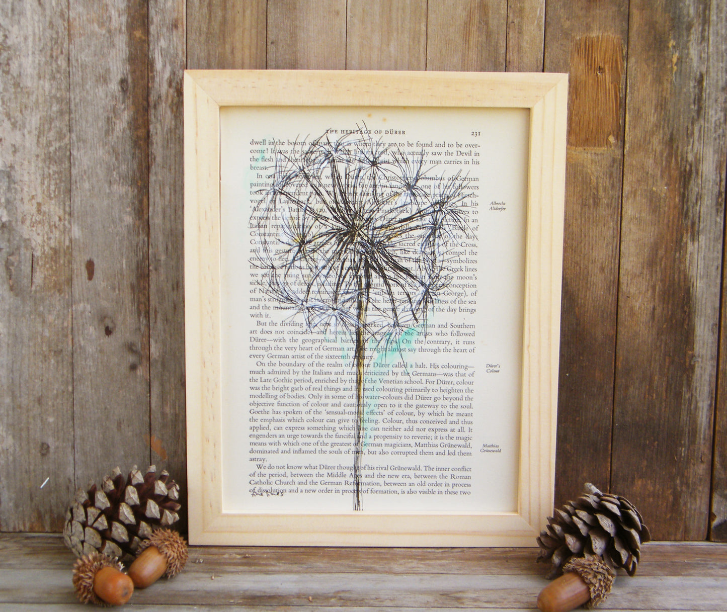 הדפס בוטני סביון על נייר מספר ישן - rachelsfinelines