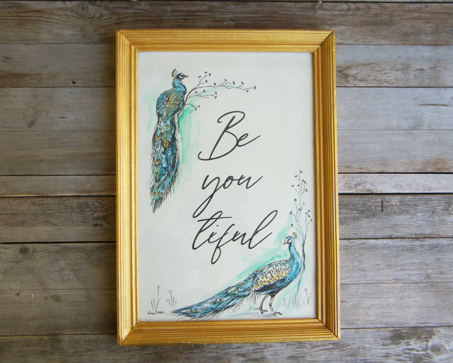 תמונת השראה להדפסה ומיסגור טווסים - rachelsfinelines