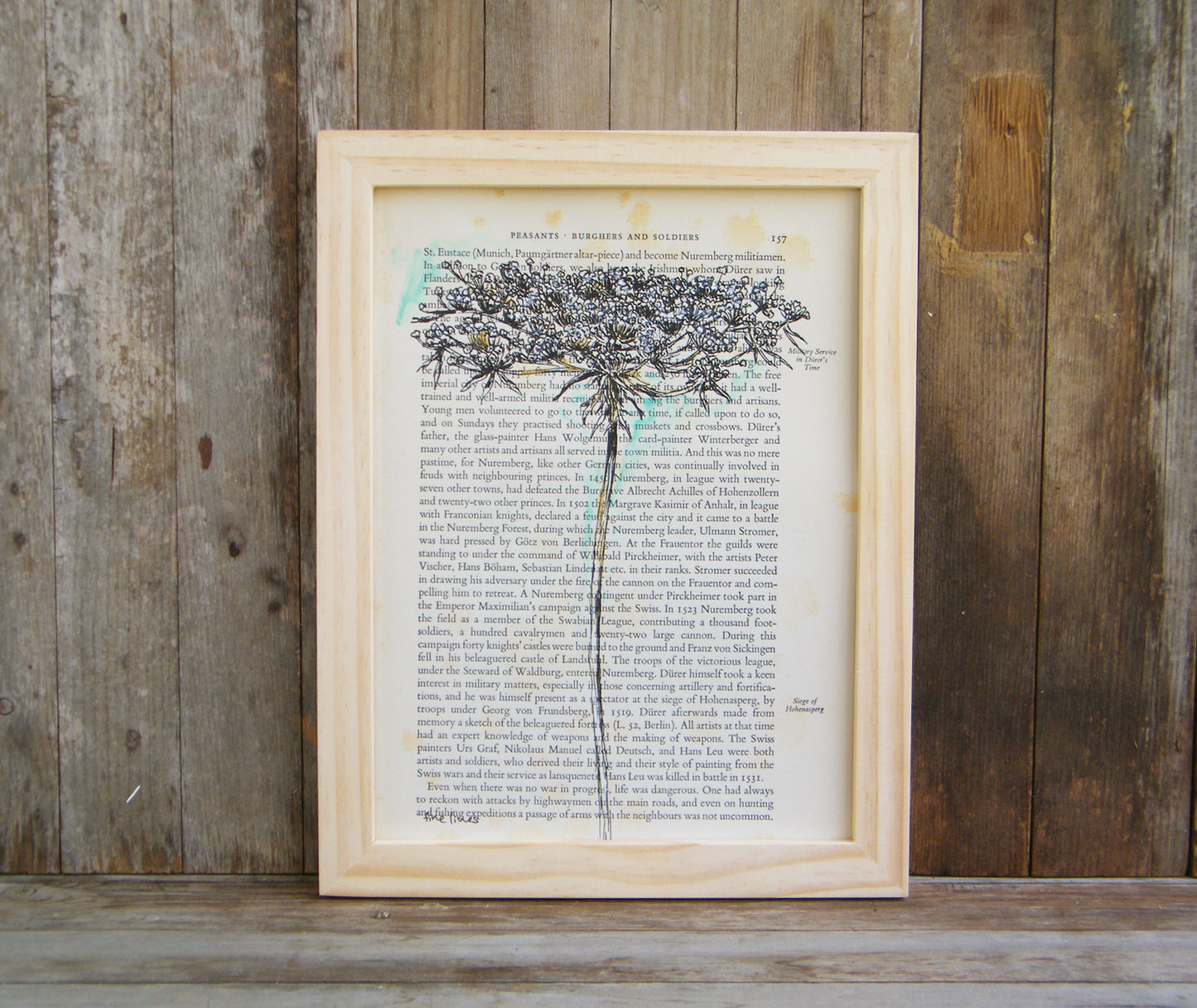 הדפס בוטני על נייר מספר ישן - rachelsfinelines