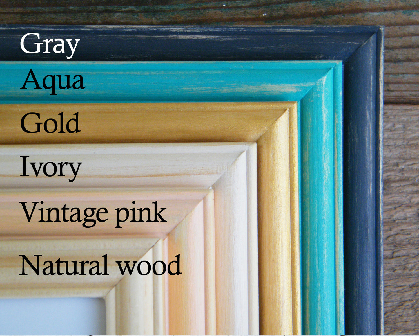 תמונה ממוסגרת נוצת פניניה - rachelsfinelines