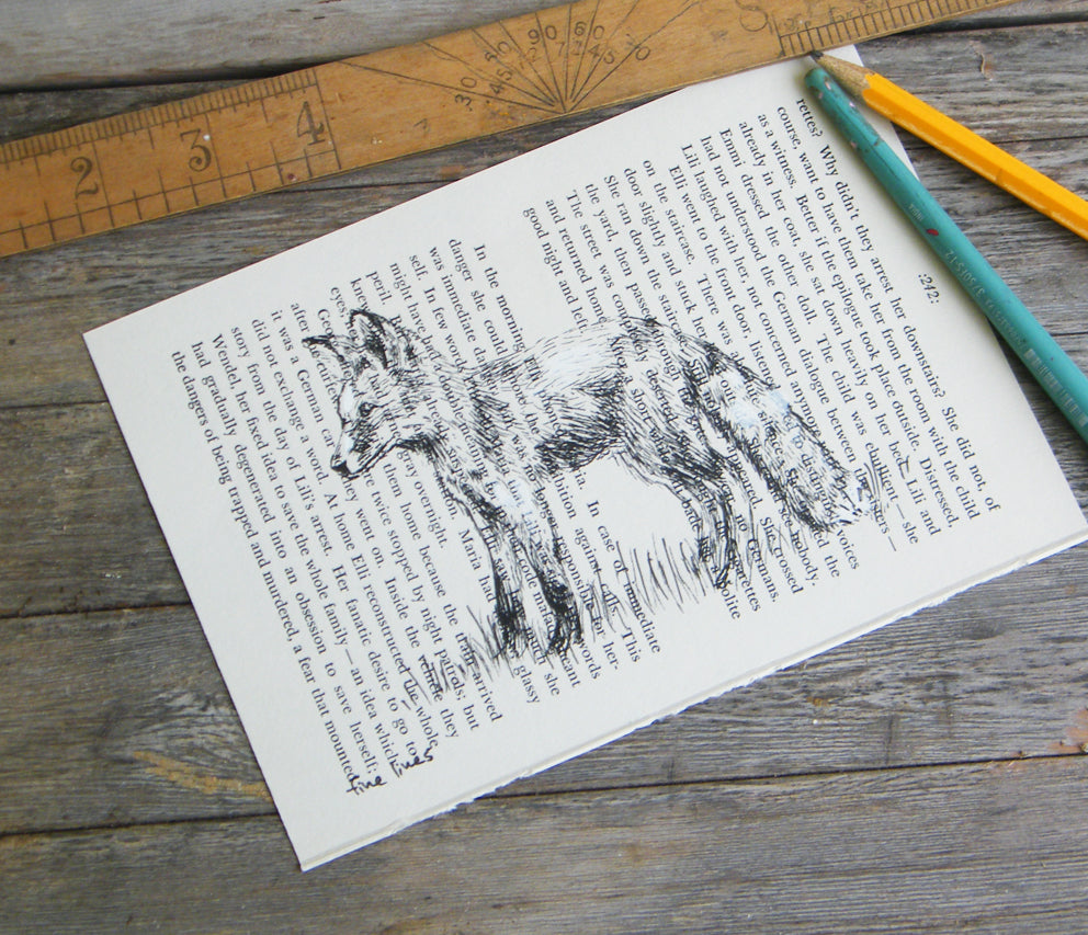 תמונת טבע להדפסה ומיסגור שועל - rachelsfinelines