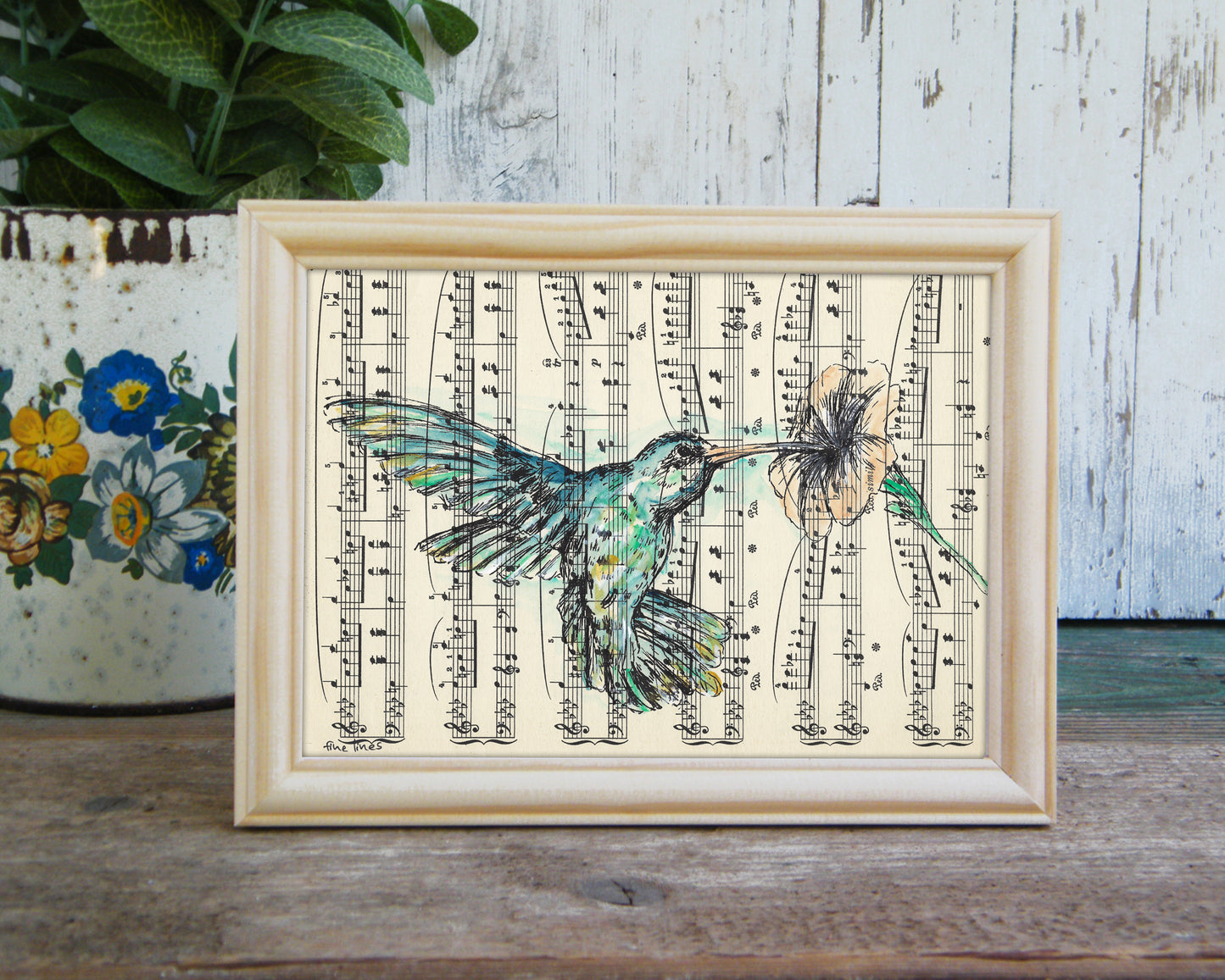 תמונה ממוסגרת ציפור יונק דבש - rachelsfinelines