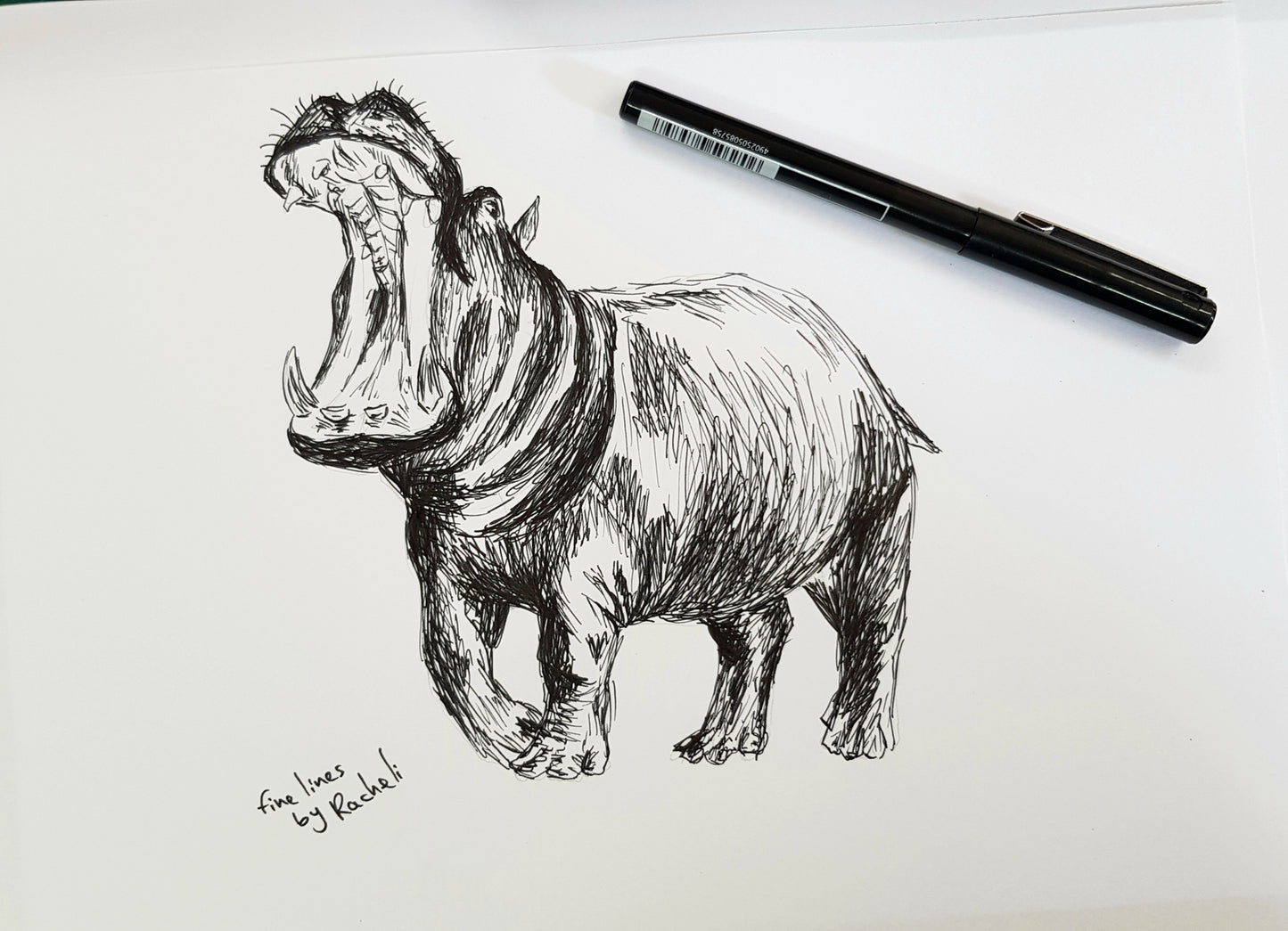 תמונה להדפסה איור היפופוטם - rachelsfinelines