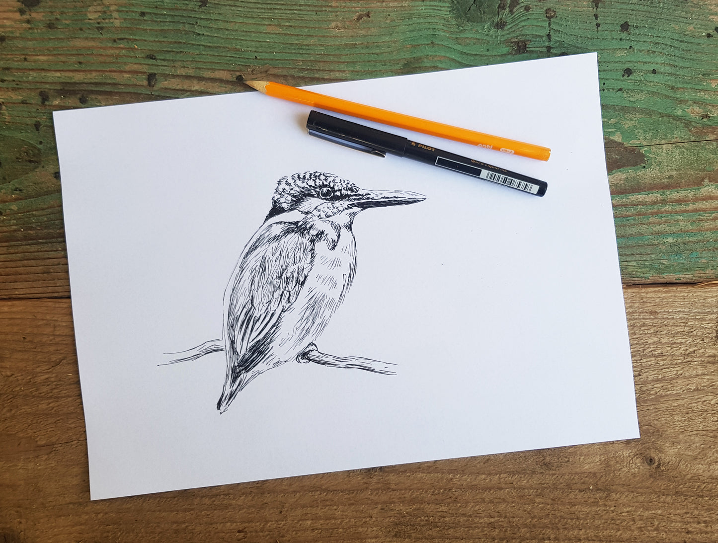 תמונה להדפסה ומיסגור שלדג - rachelsfinelines