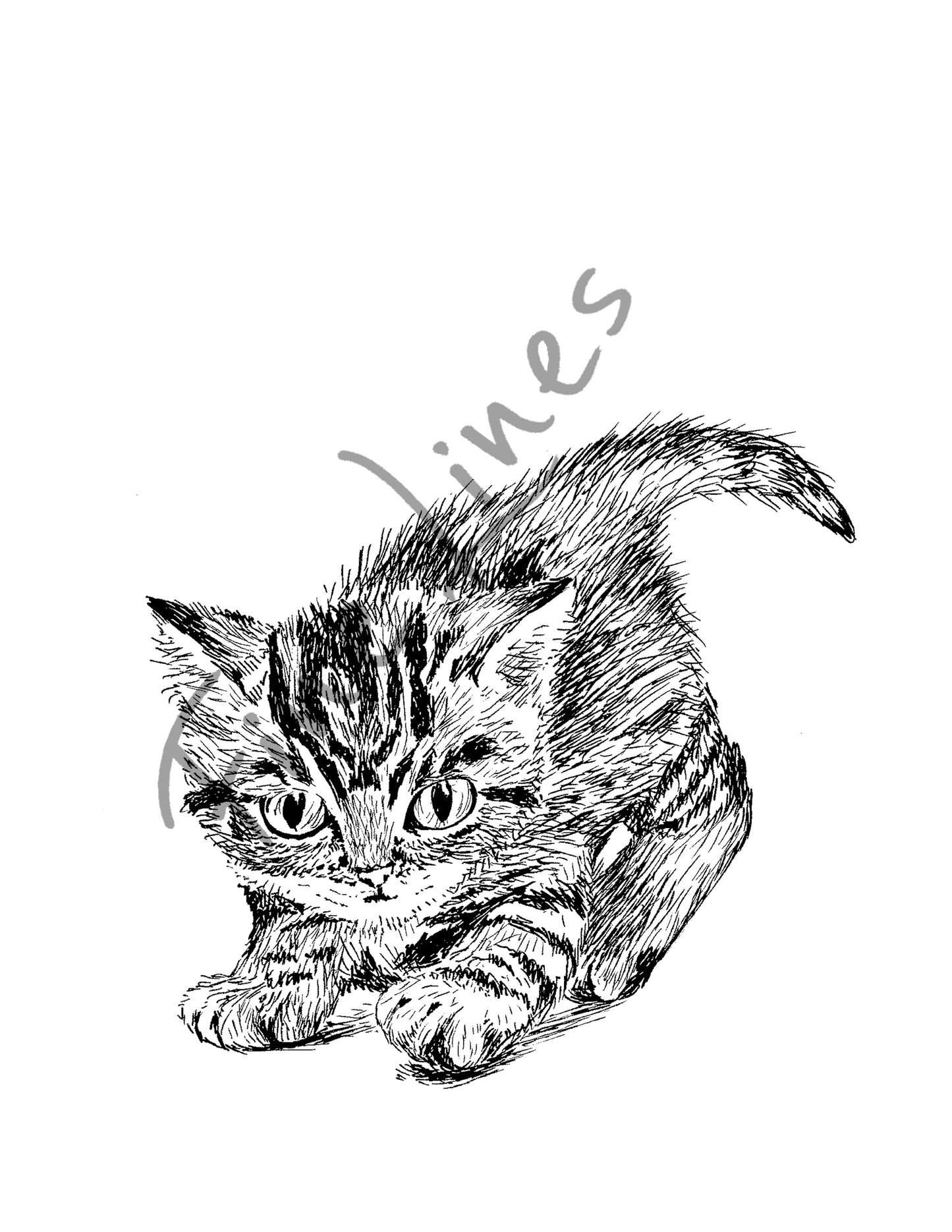 תמונה להדפסה ומיסגור חתלתול - rachelsfinelines