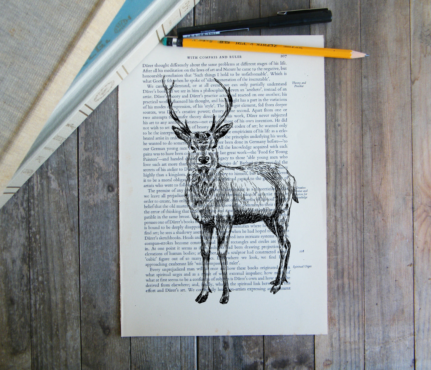 תמונה להדפסה ומיסגור אייל - rachelsfinelines