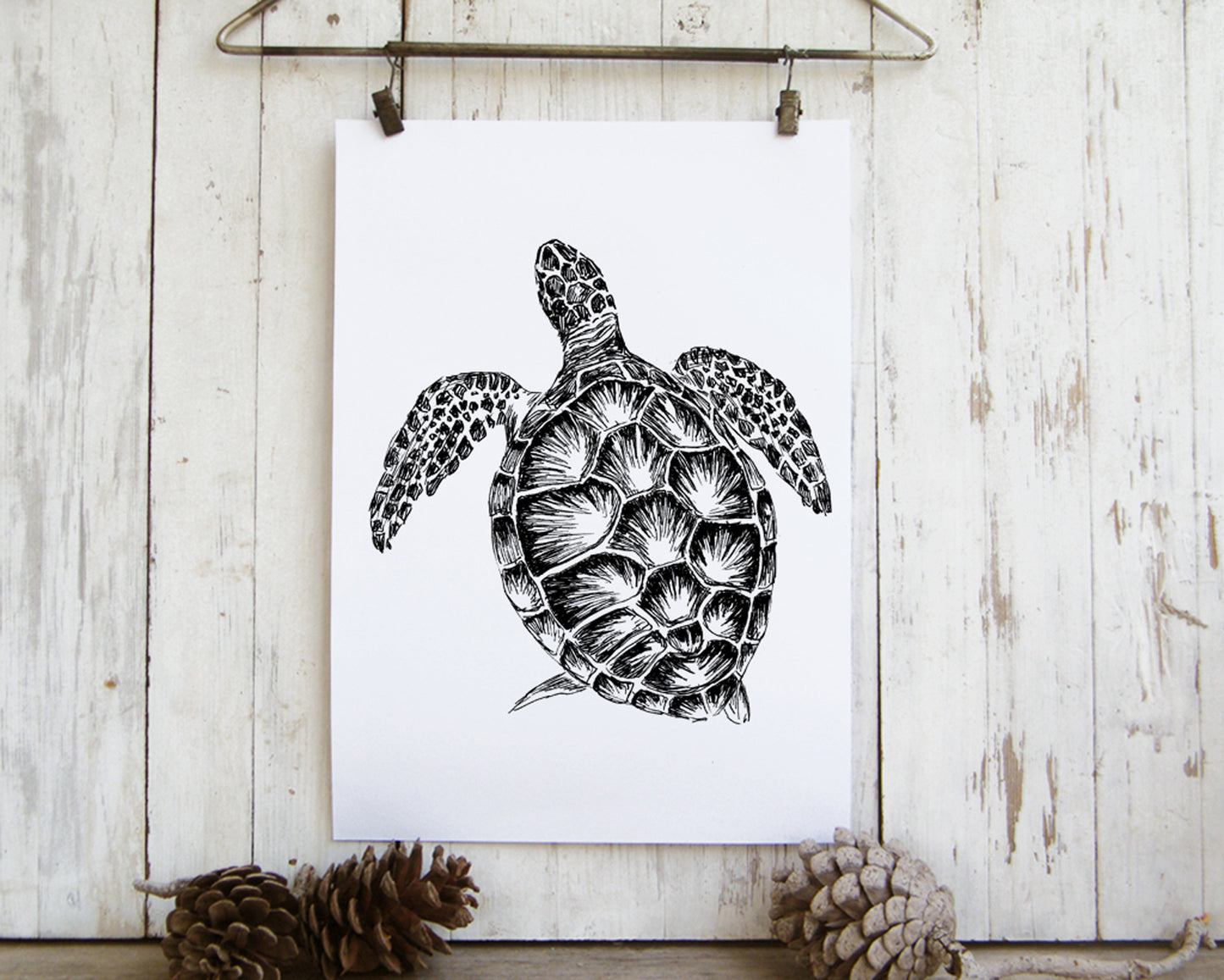 תמונה להדפסה ומיסגור צב ים צבעוני - rachelsfinelines