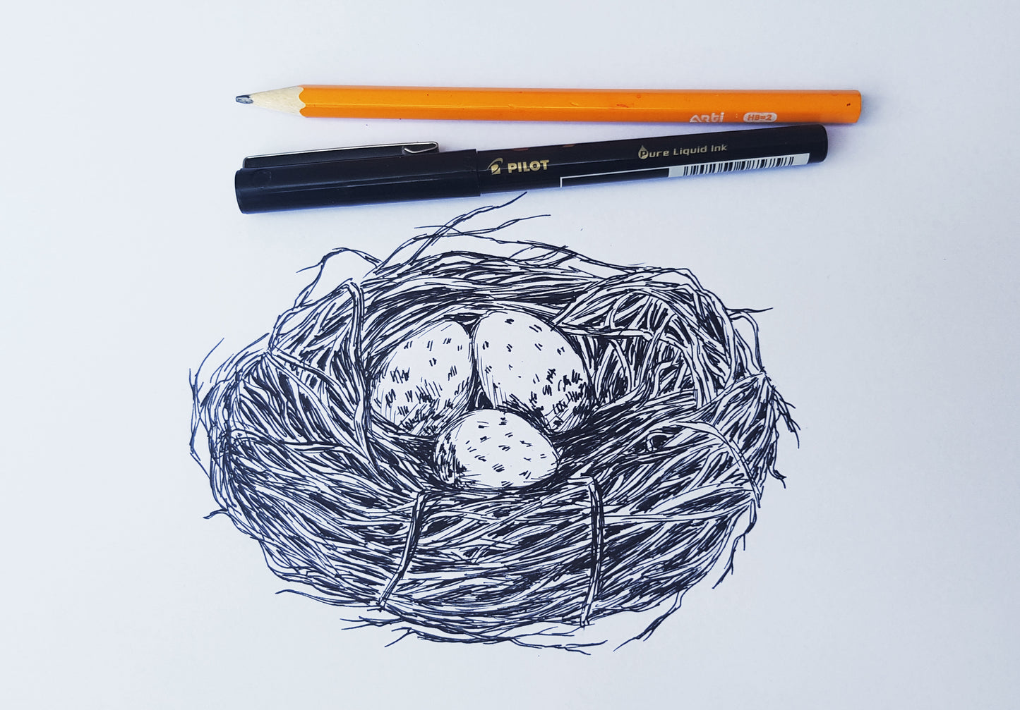 הדפס קן ציפור עם כיתוב להדפסה ומיסגור - rachelsfinelines