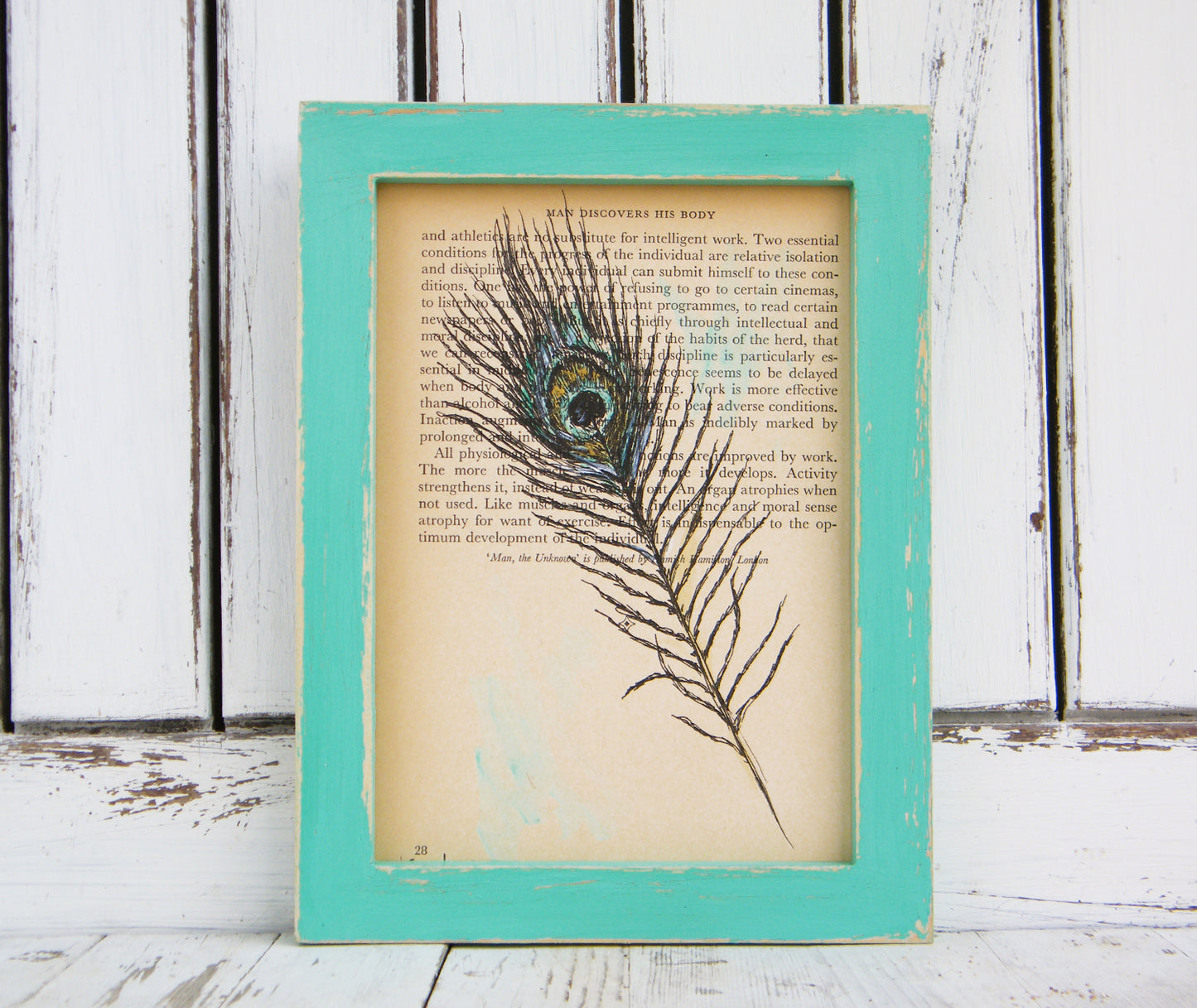 הדפס נוצת טווס על נייר מספר ישן - rachelsfinelines