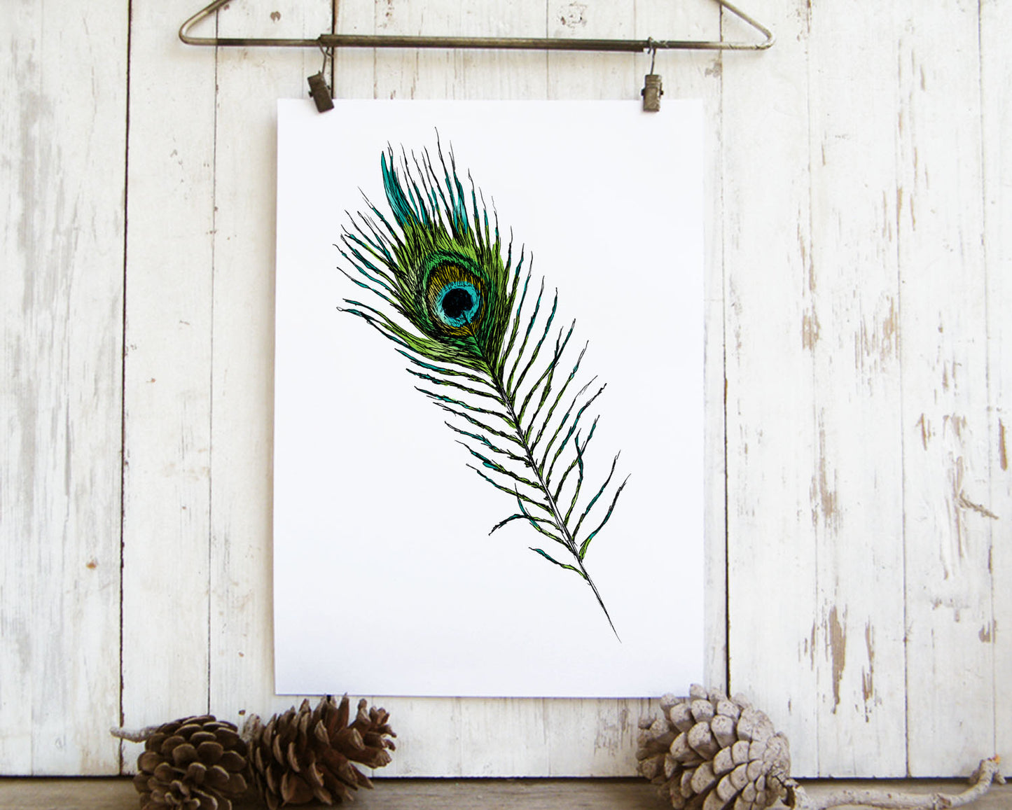 תמונה להדפסה נוצת טווס בשחור לבן - rachelsfinelines