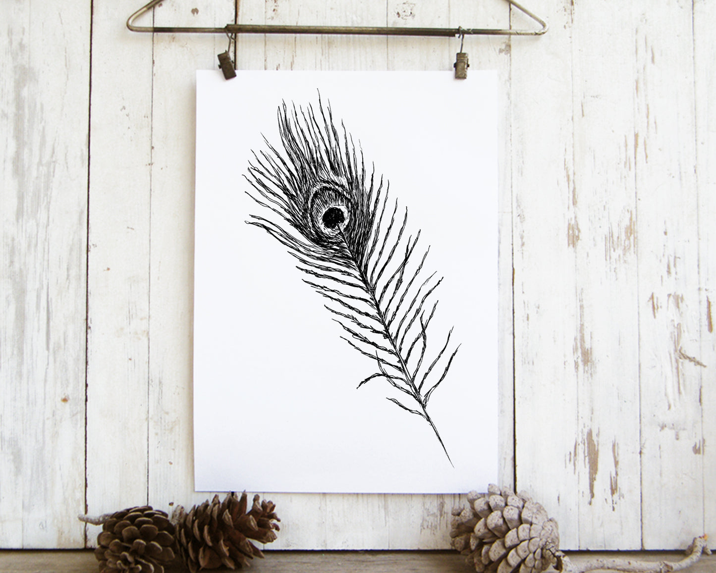 תמונה להדפסה נוצת טווס צבעונית - rachelsfinelines