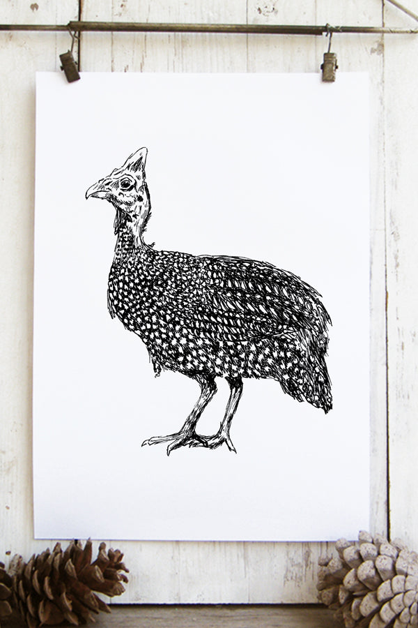 תמונה להדפסה ומיסגור ציפור פניניה - rachelsfinelines