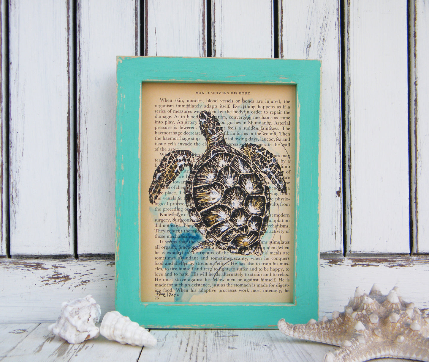 הדפס צב ים על נייר מספר ישן - rachelsfinelines