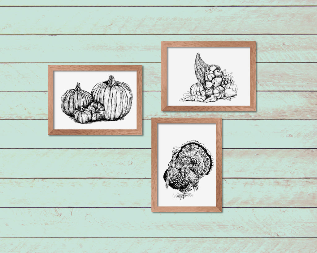 תמונה להדפסה ומיסגור איור תרנגול הודו - rachelsfinelines