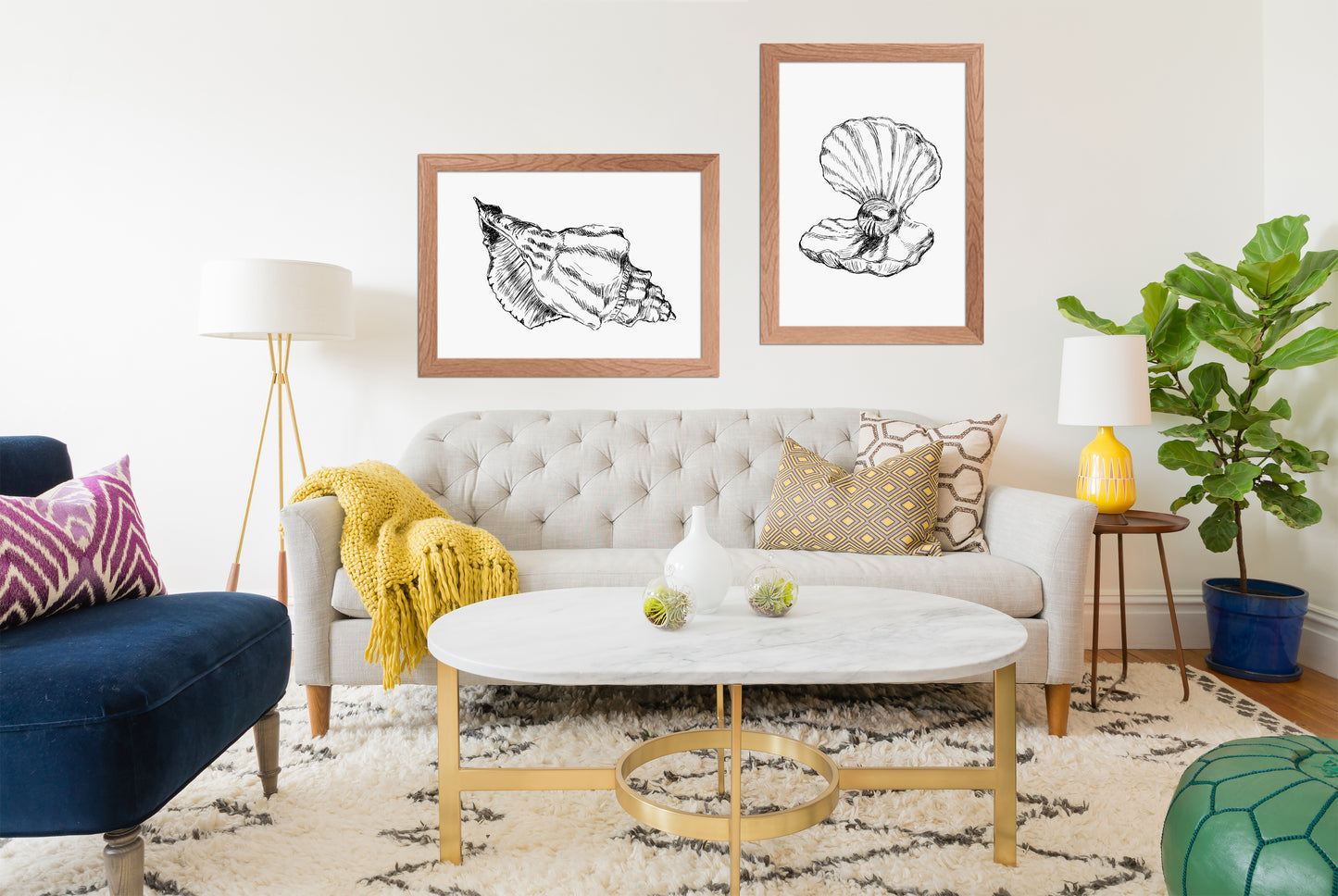 הדפס שחור לבן איור צדף - rachelsfinelines