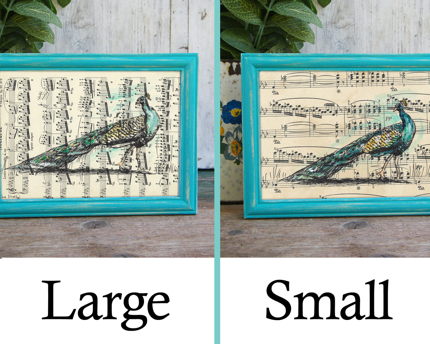 תמונה ממוסגרת טווס - rachelsfinelines