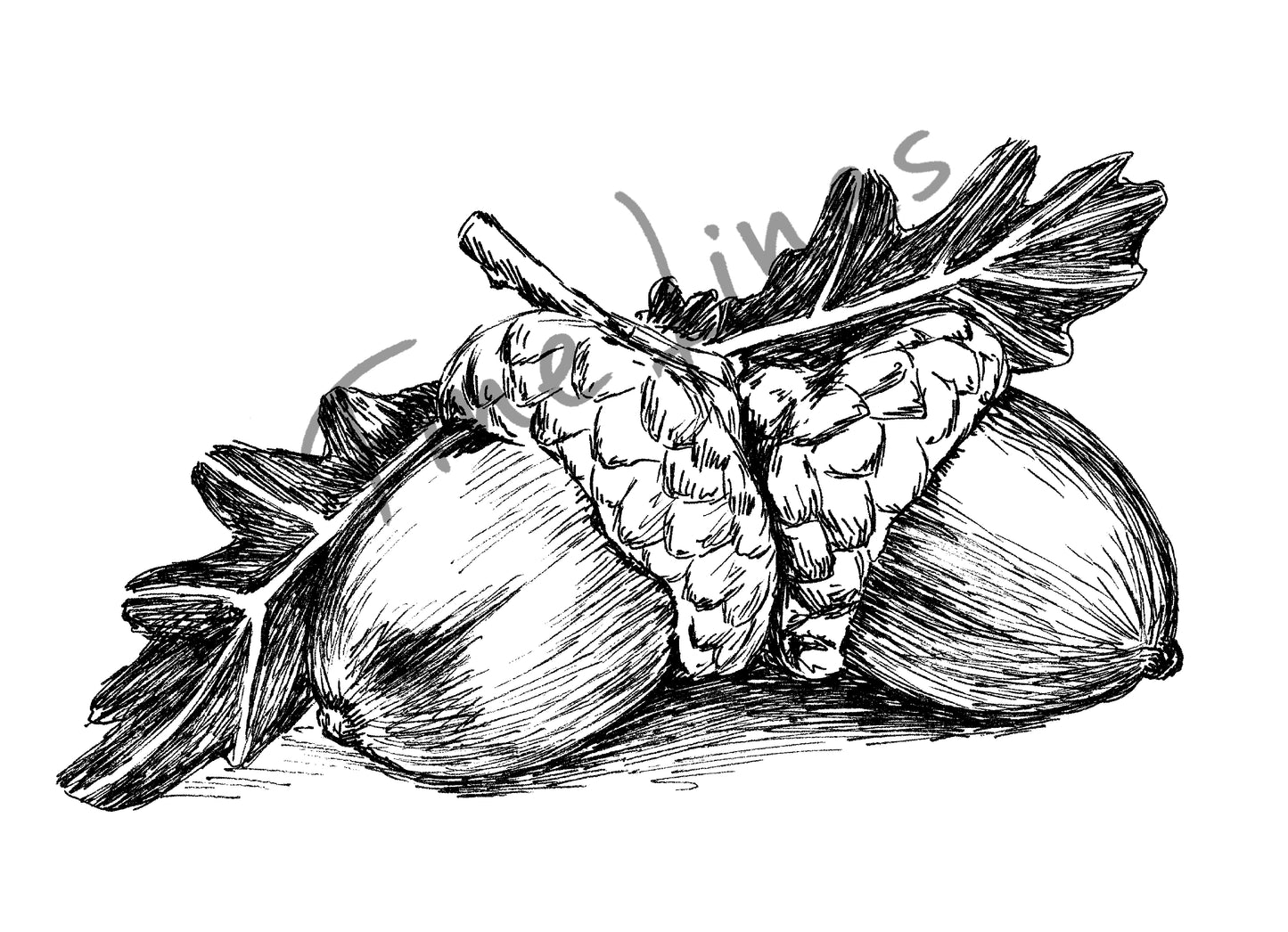 תמונה להדפסה בלוטים - rachelsfinelines