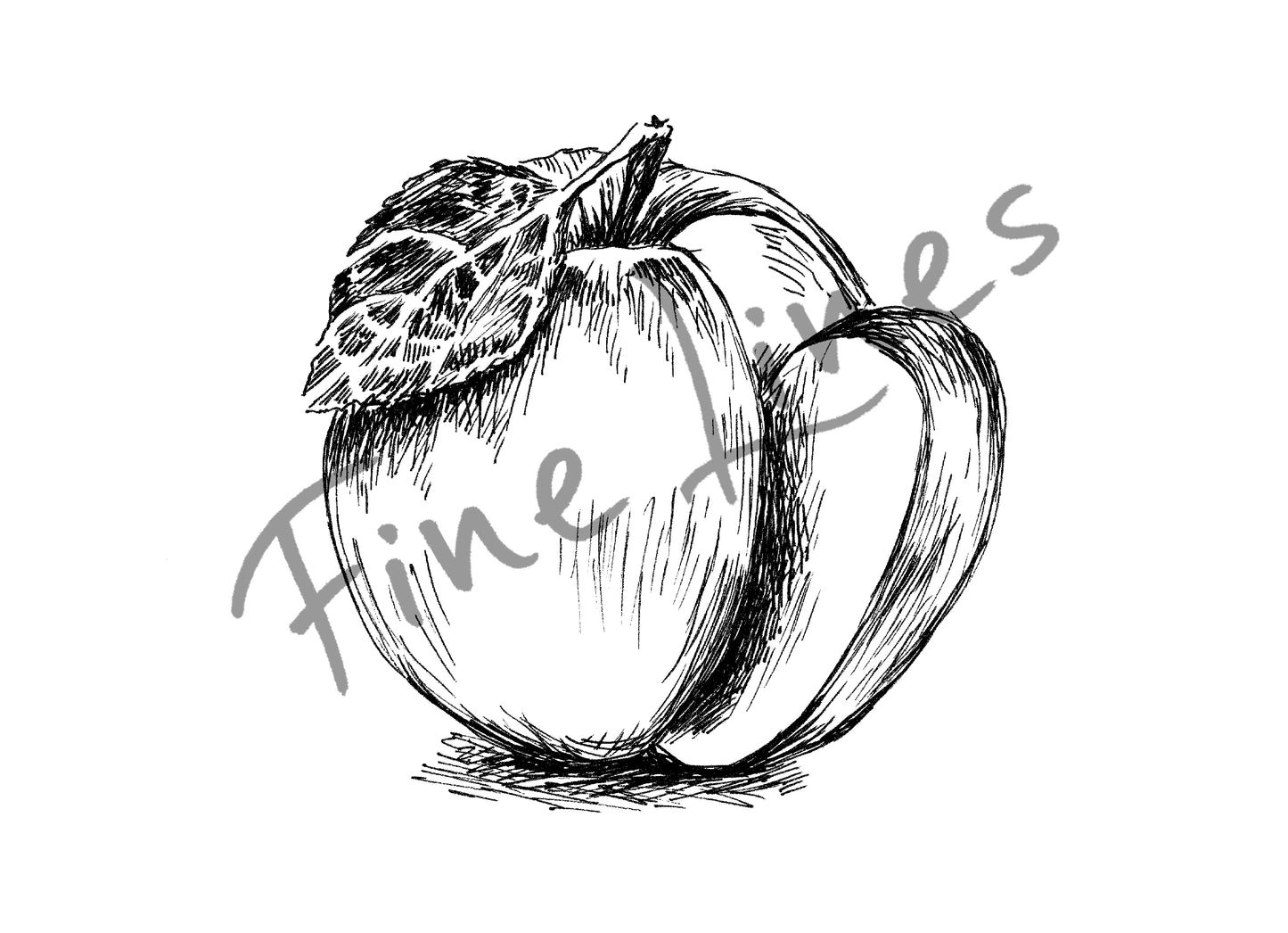 הדפס שחור לבן למיסגור תפוח - rachelsfinelines