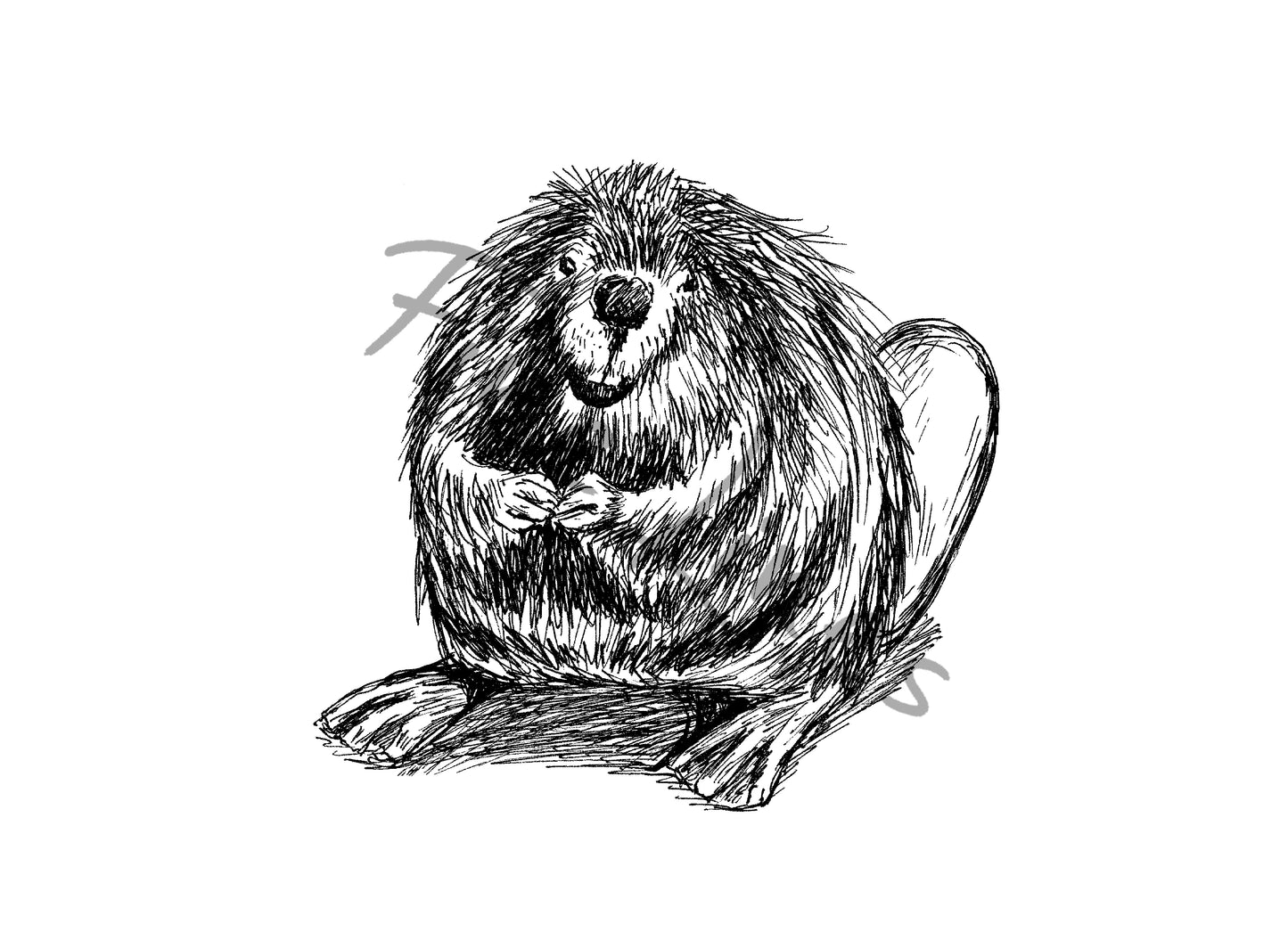 תמונה להדפסה איור בונה חמוד - rachelsfinelines