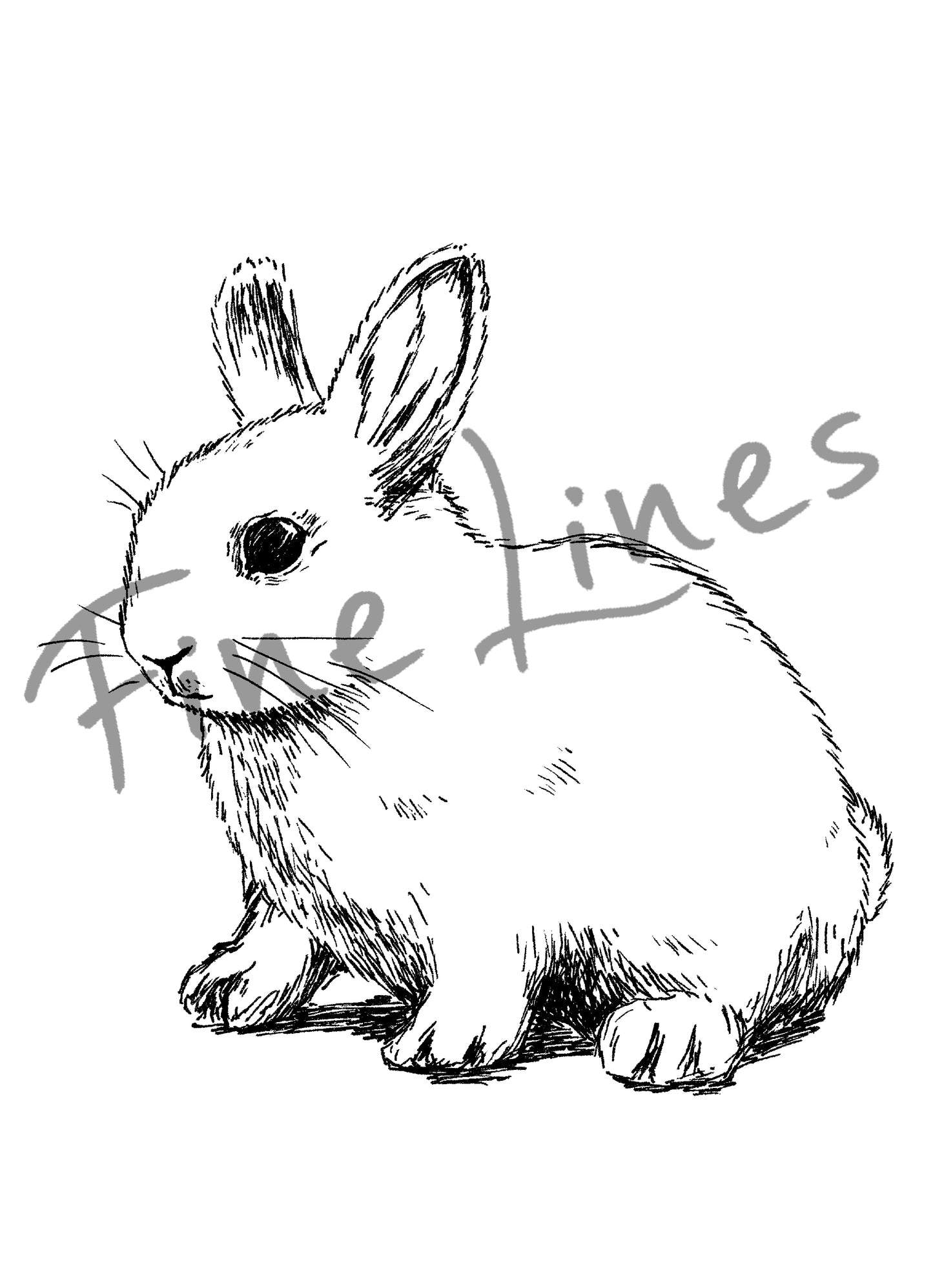 תמונה להדפסה ארנבון חמוד - rachelsfinelines