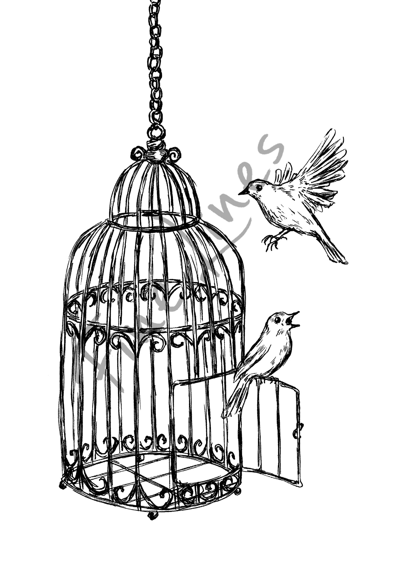 תמונה להדפסה כלוב וציפורים