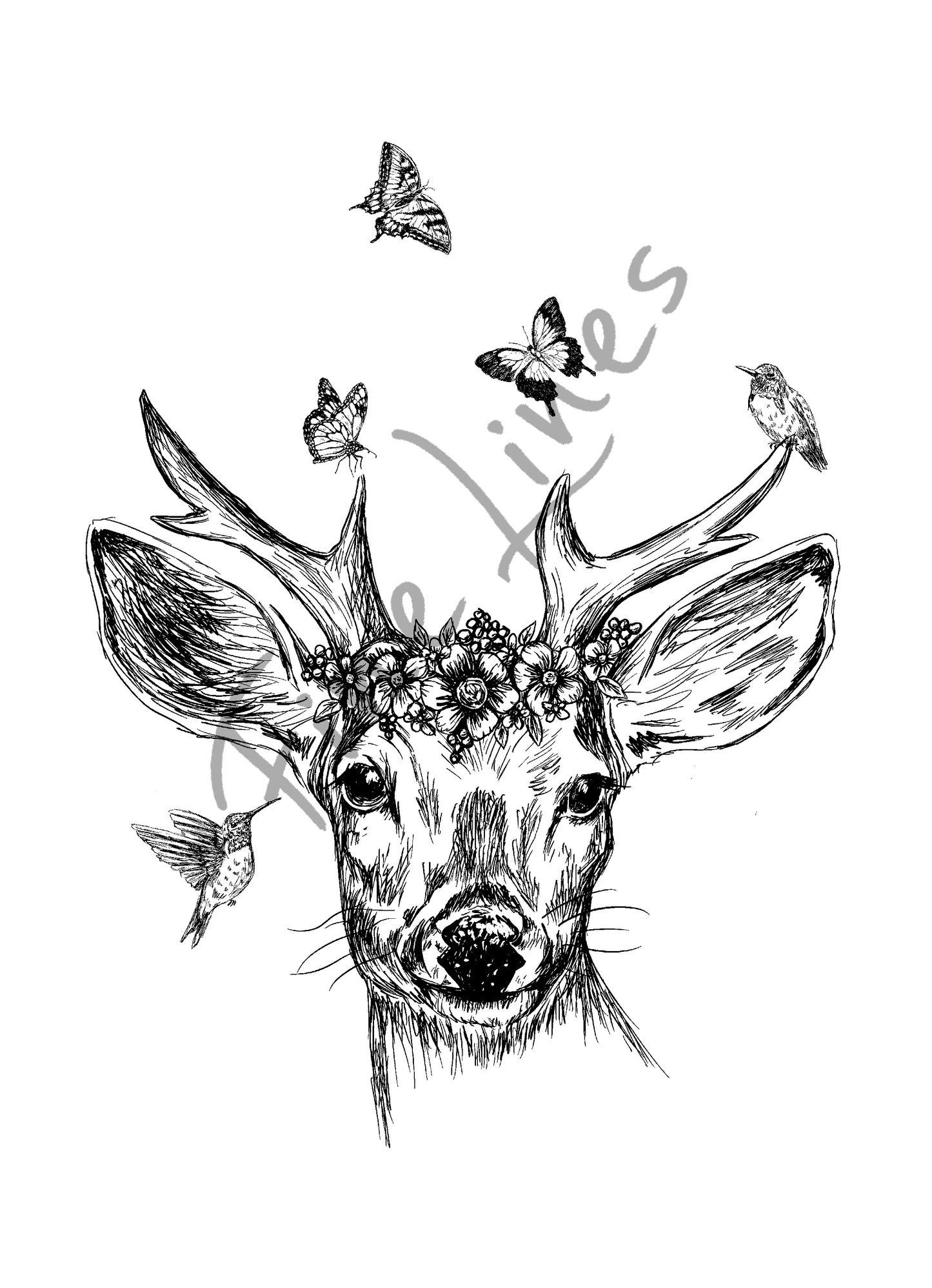 תמונה להדפסה ומיסגור ראש איילה