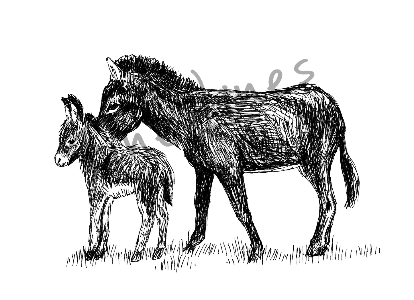 איור להדפסה אתון ועייר