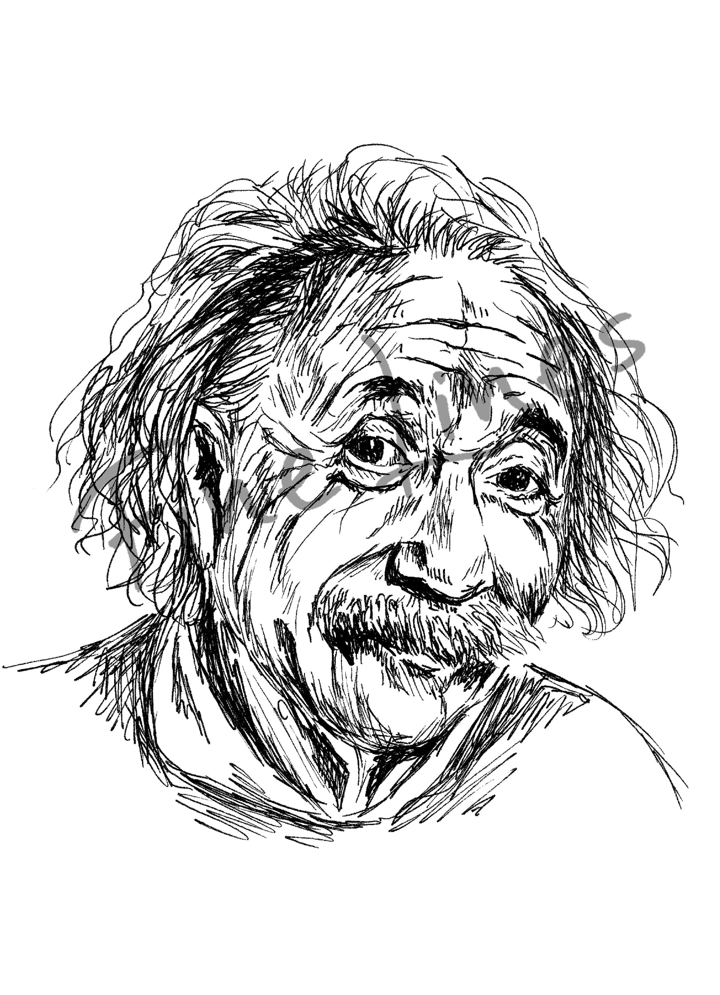 תמונה להדפסה ומיסגור אלברט איינשטיין - rachelsfinelines