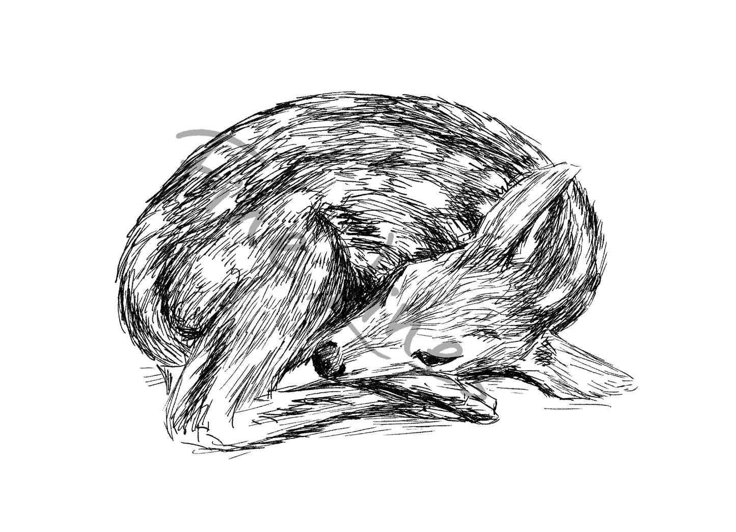 תמונה להדפסה לילדים איור עופר חמוד - rachelsfinelines