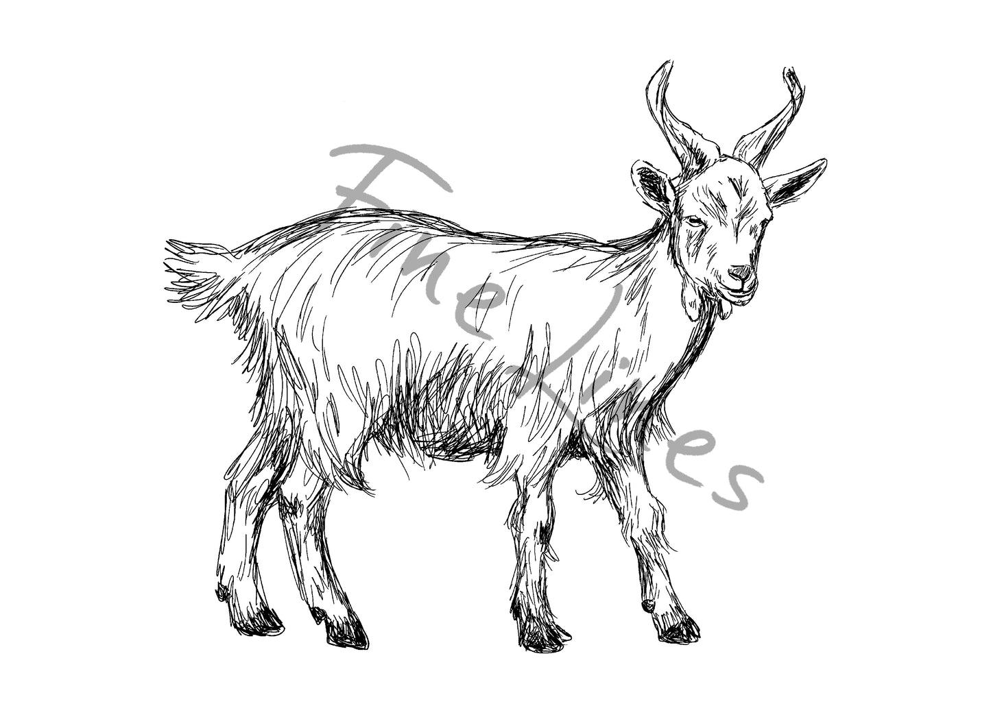 תמונה לחדר ילדים עז חמודה