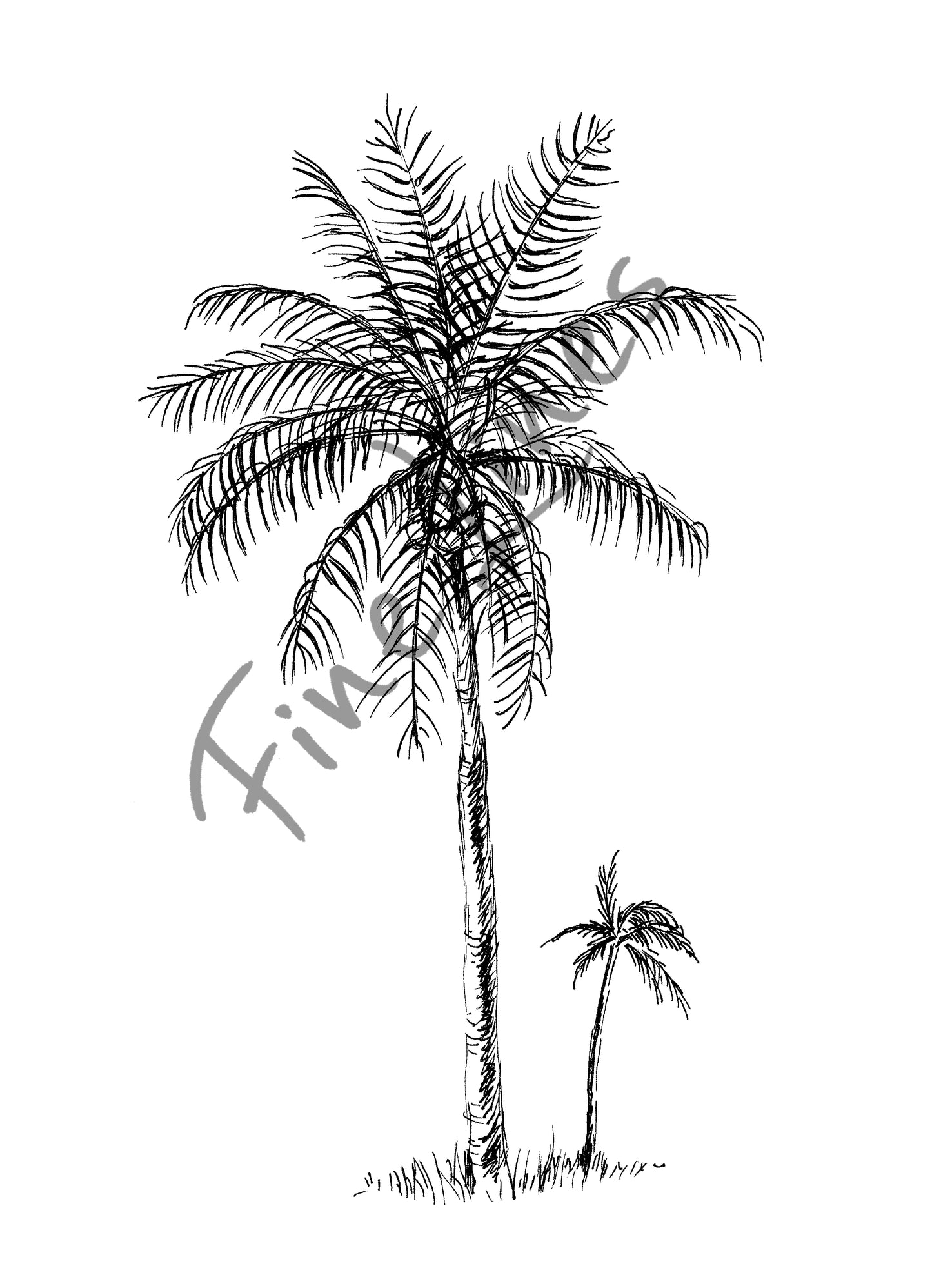 הדפס טרופי עץ דקל - rachelsfinelines