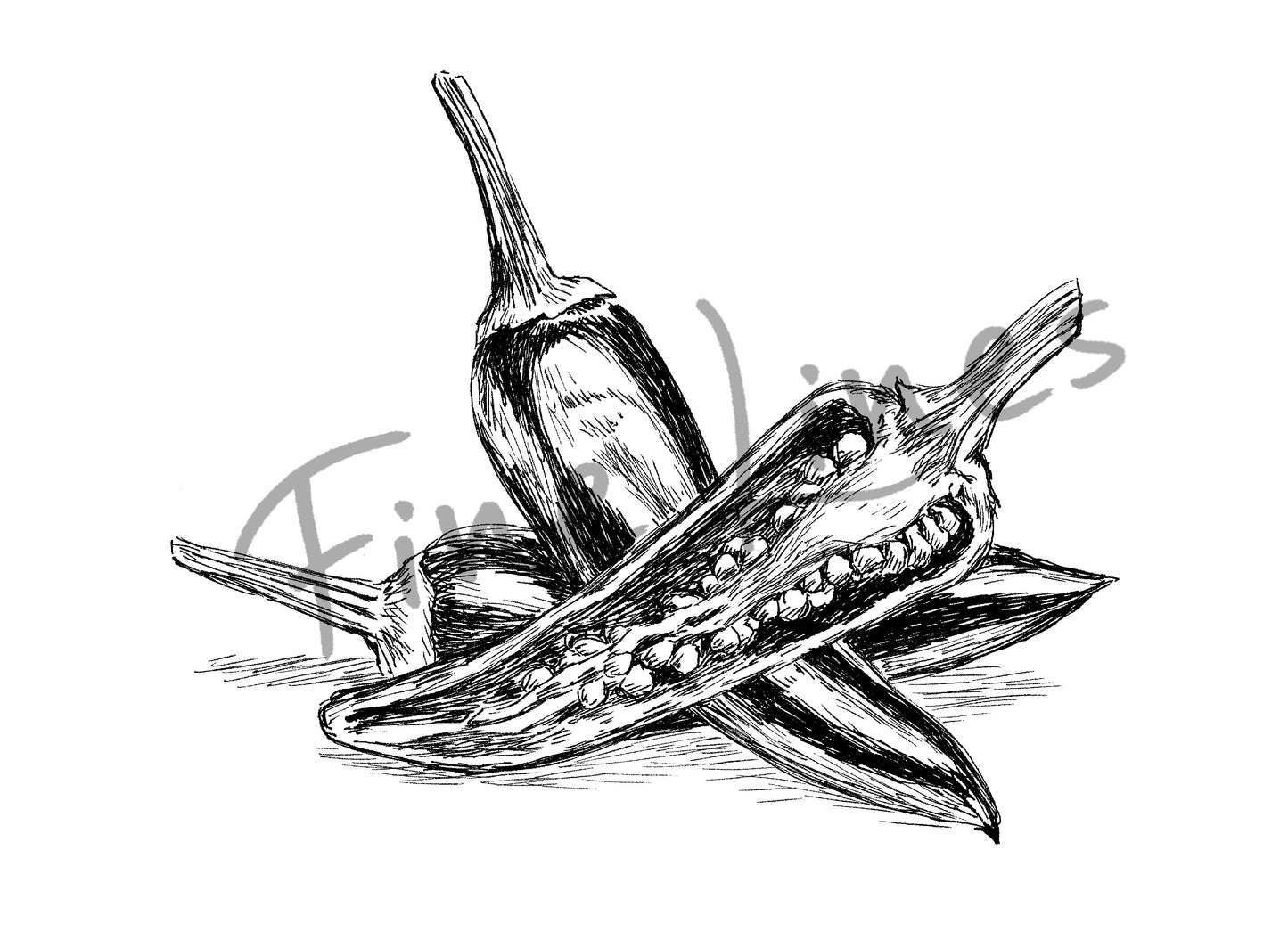 הדפס פלפל אדום חריף