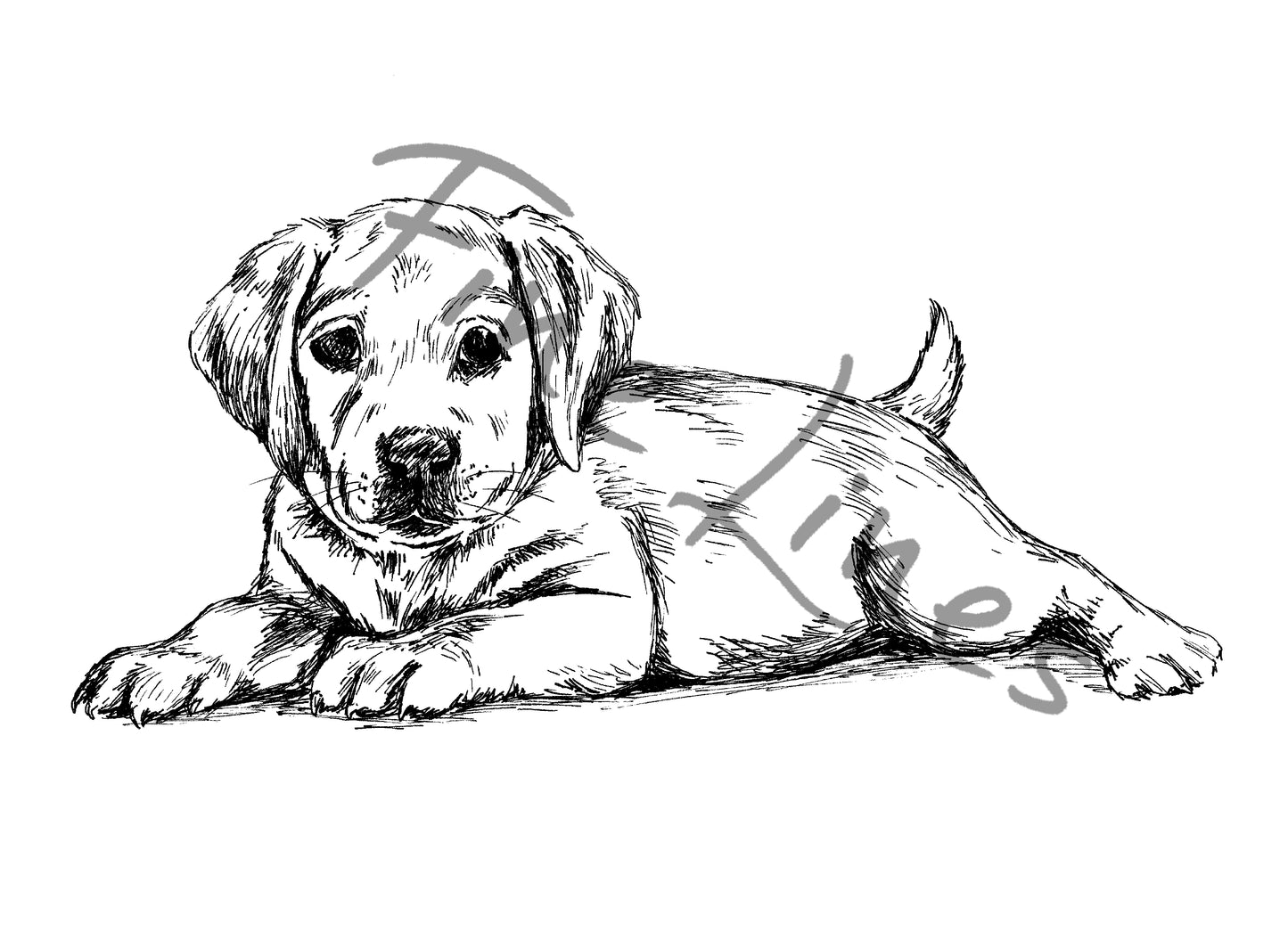 תמונה להדפסה ומיסגור לחדר ילדים כלבלב - rachelsfinelines